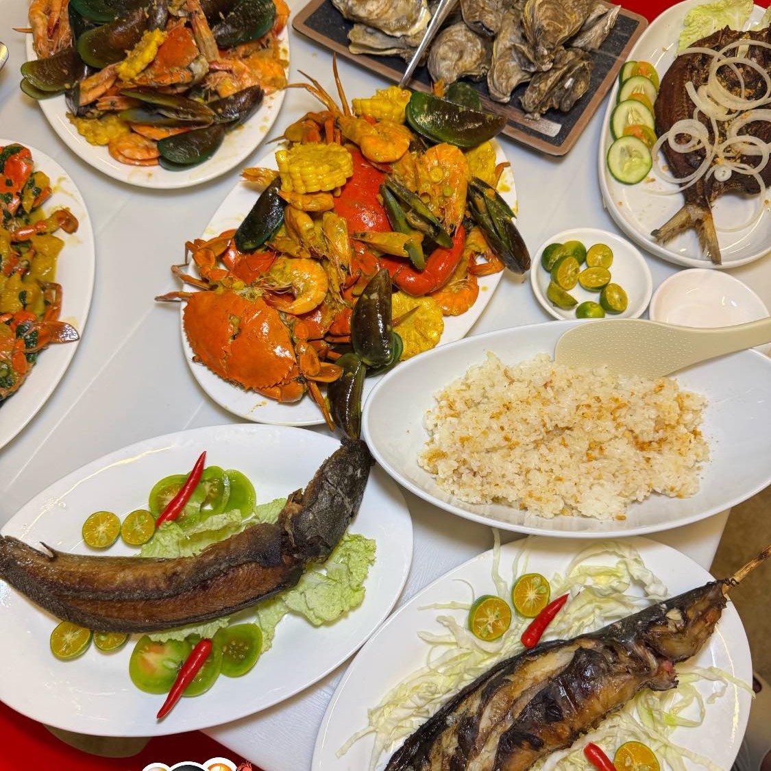 Fresh Catch Seafood Grill and Restaurant | Cebu City