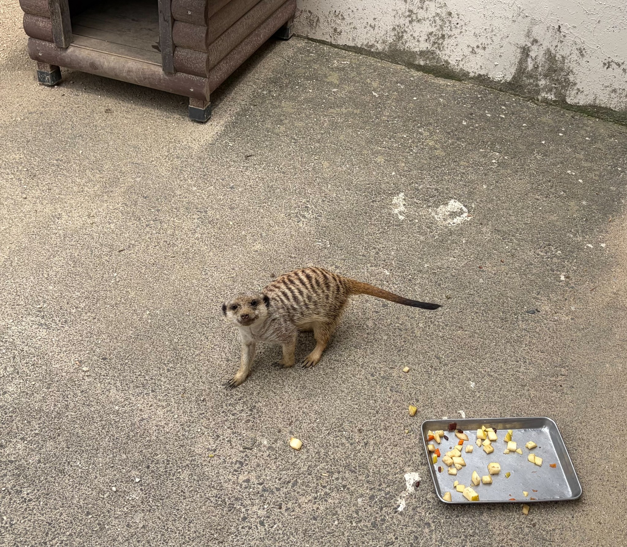 東武動物公園 - 東武動物公園 added a new photo.