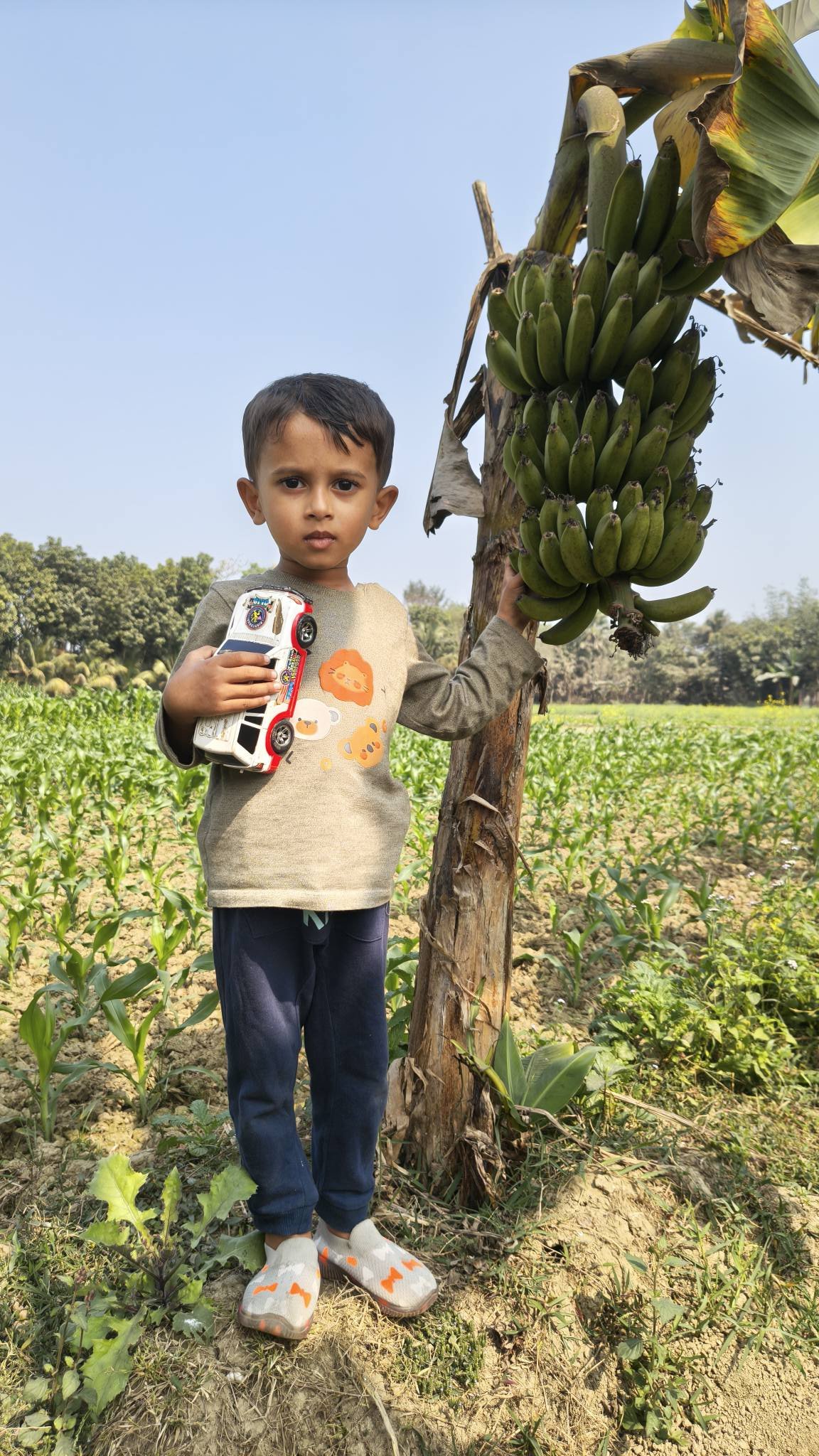 Mamun Rashid