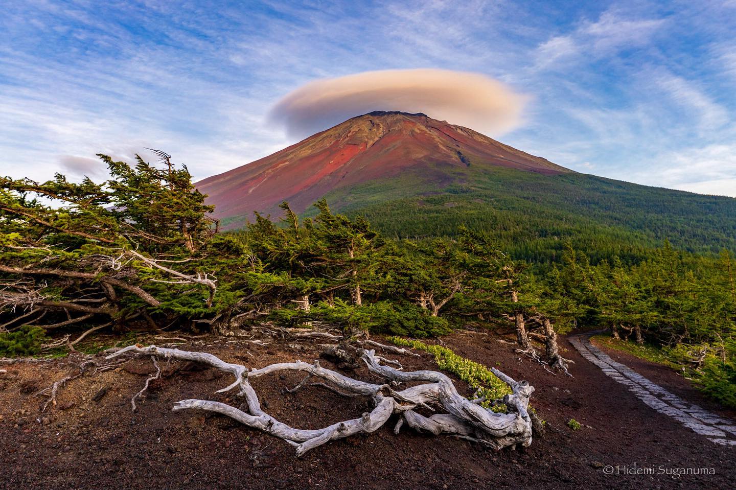富士山麓 富士山麓季節風景｜FUJIYAMA DAYS. (@FUJIYAMA.DAYS) • Facebook