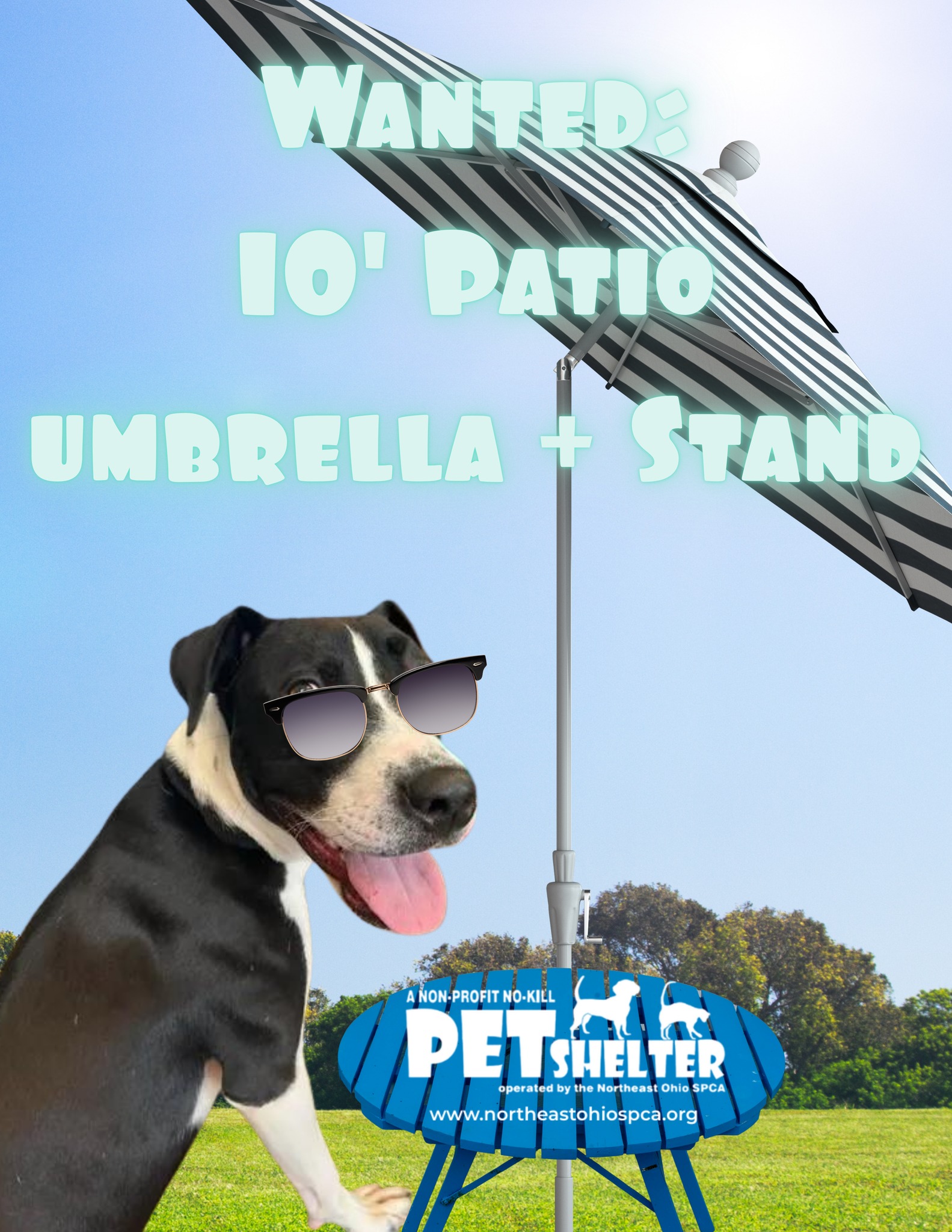 black patio umbrella meme 10ft Round Polaroid Picture of a Man