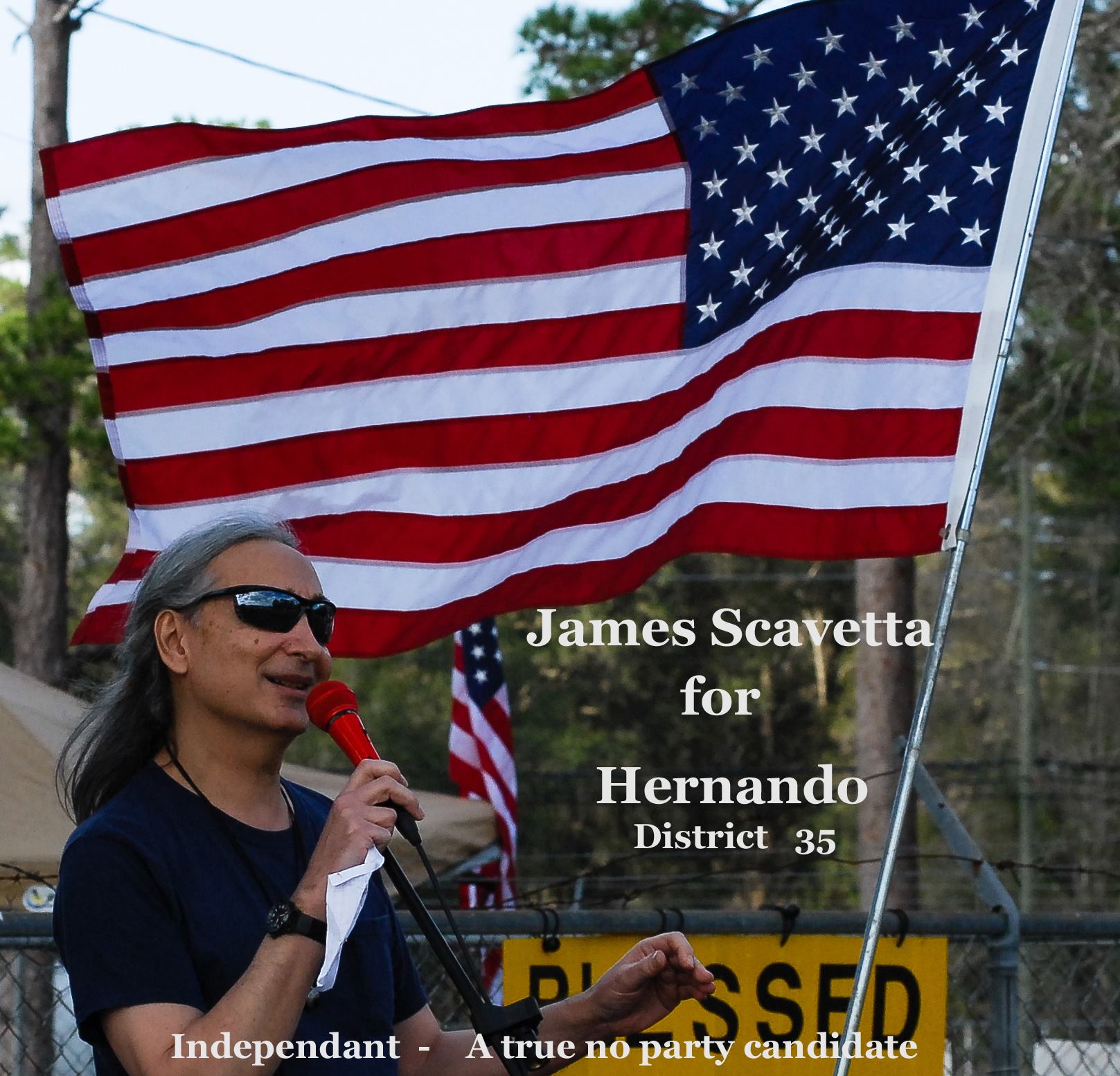 Scavetta For Hernando