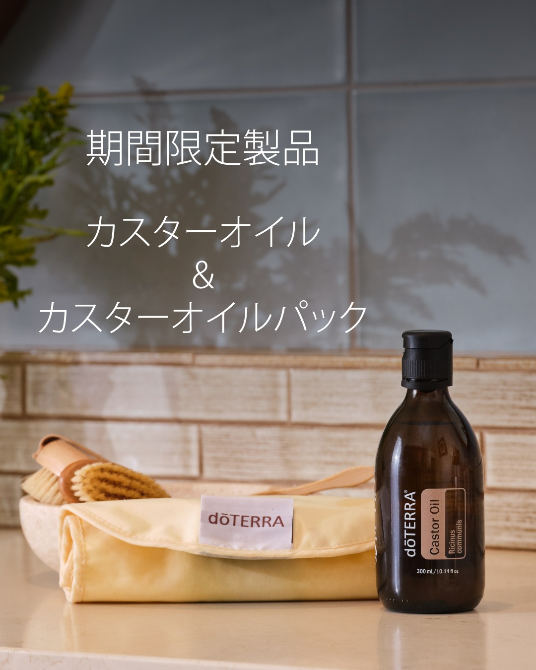 フランキンセンススティック + ナイオウッドは、便利なスティック
