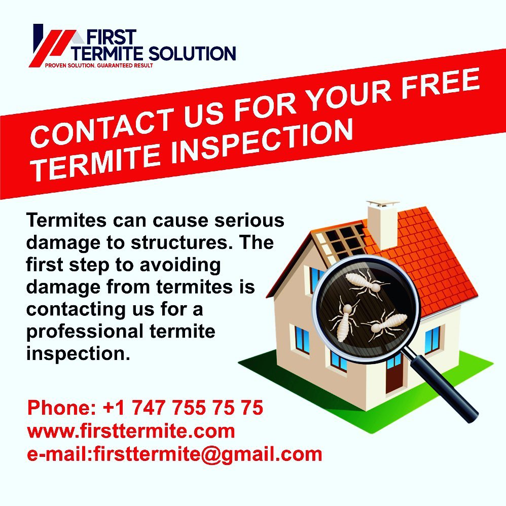 First Termite Solution | Santa Clarita CA