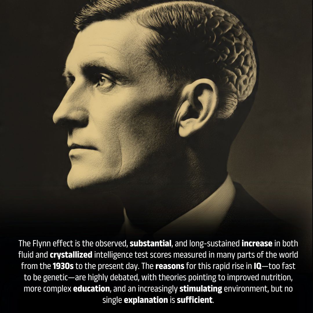 The Flynn Effect - The Mysterious,... - Creative Creature | Facebook