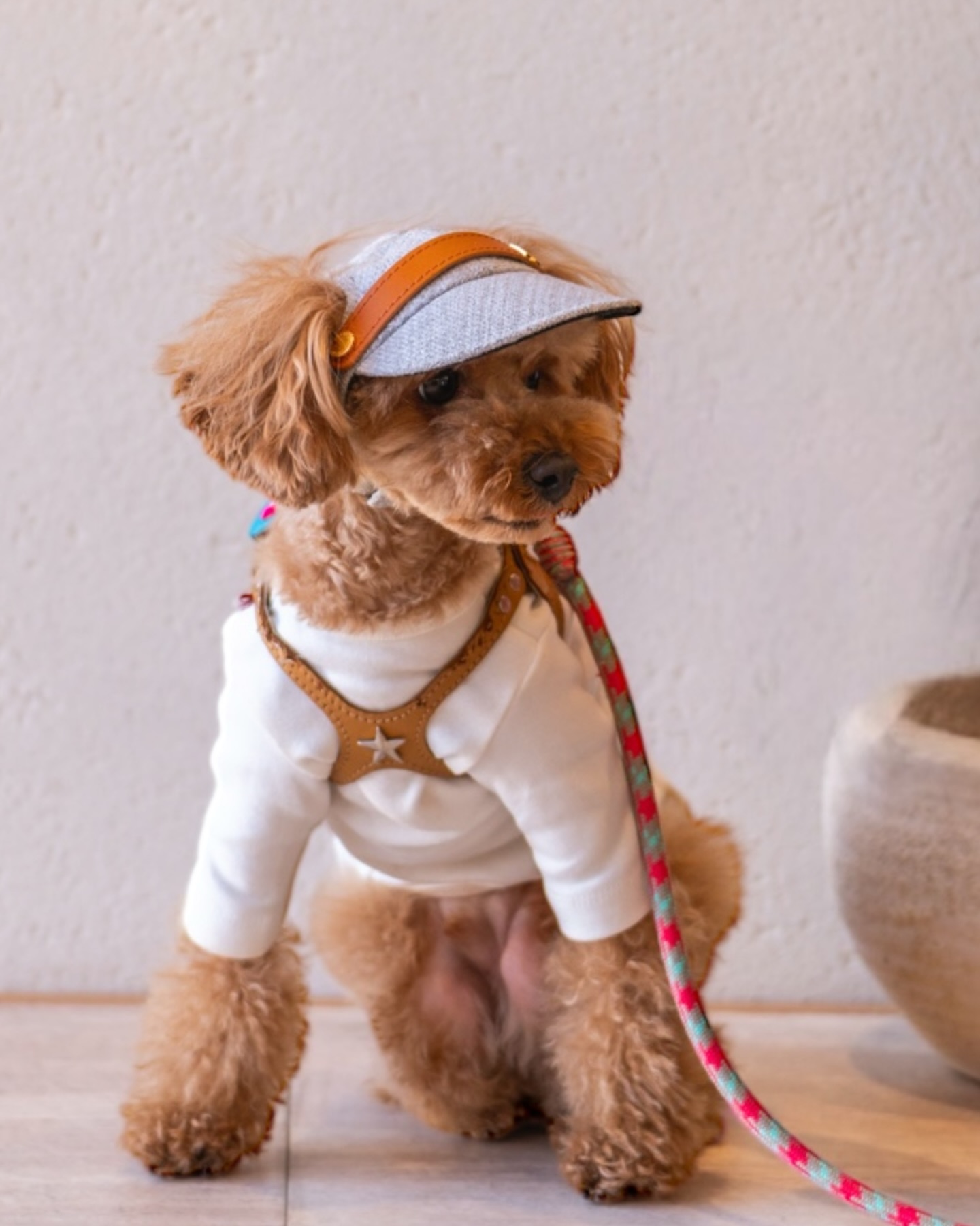 【限定品】 I.Ｍ.GALLERY 犬用 帽子 ワングラス付 ベージュ 限定品】 I.M.GALLERY 犬用 帽子 ワングラス付 ベージュ 限定品