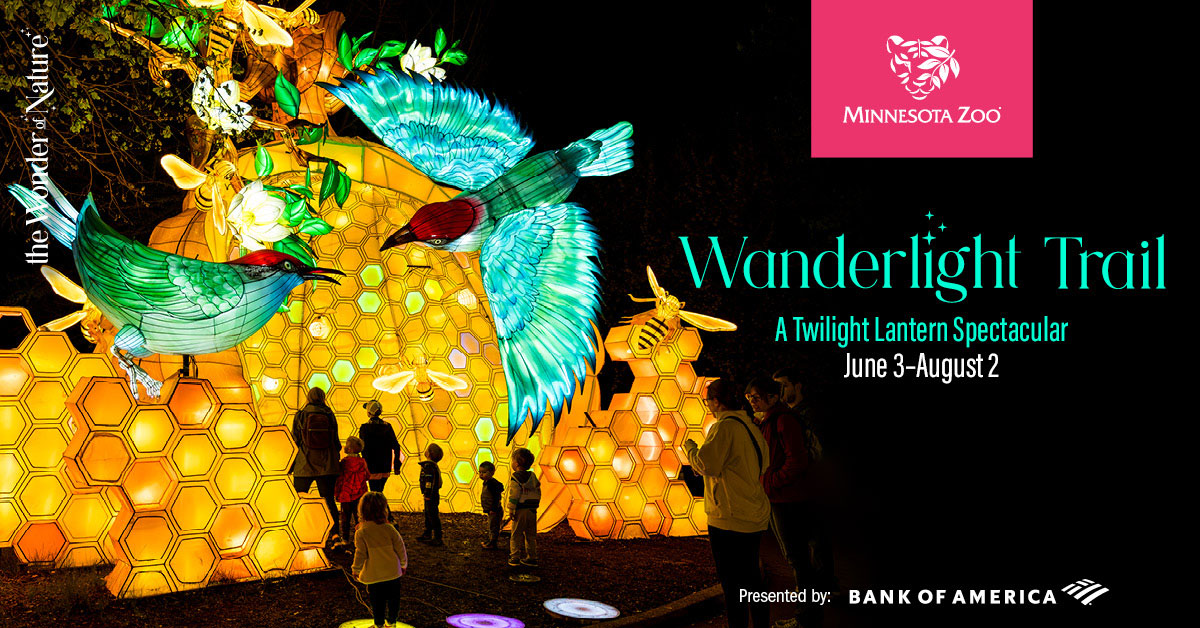 🌌Wanderlight Trail: A Twilight Lantern Spectacular🌌