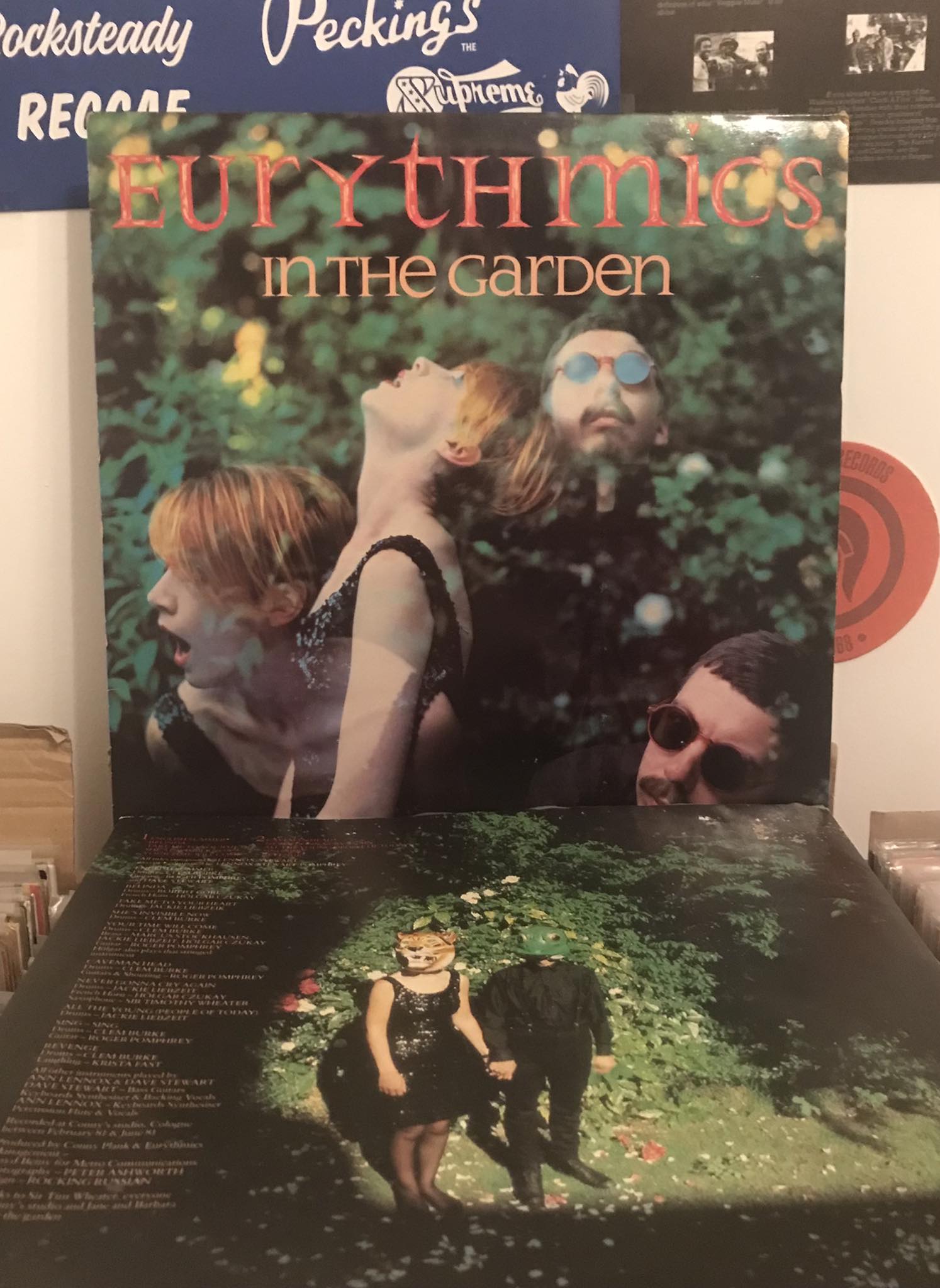 Eurythmics In the Garden 1981 album review