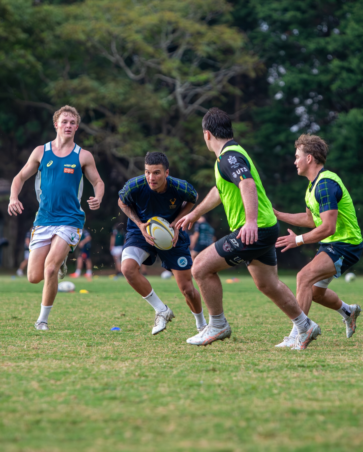 Gordon Rugby - The... - Gordon Rugby - The Highlanders