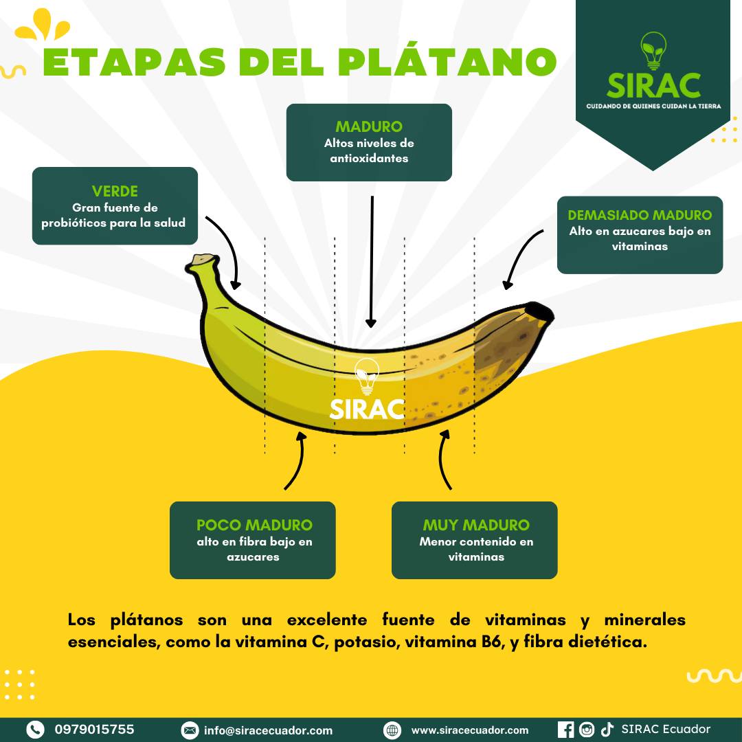 SIRAC Ecuador - 🍌🌿 Aprender es producir mejor 🌿 Conoce las... | Facebook