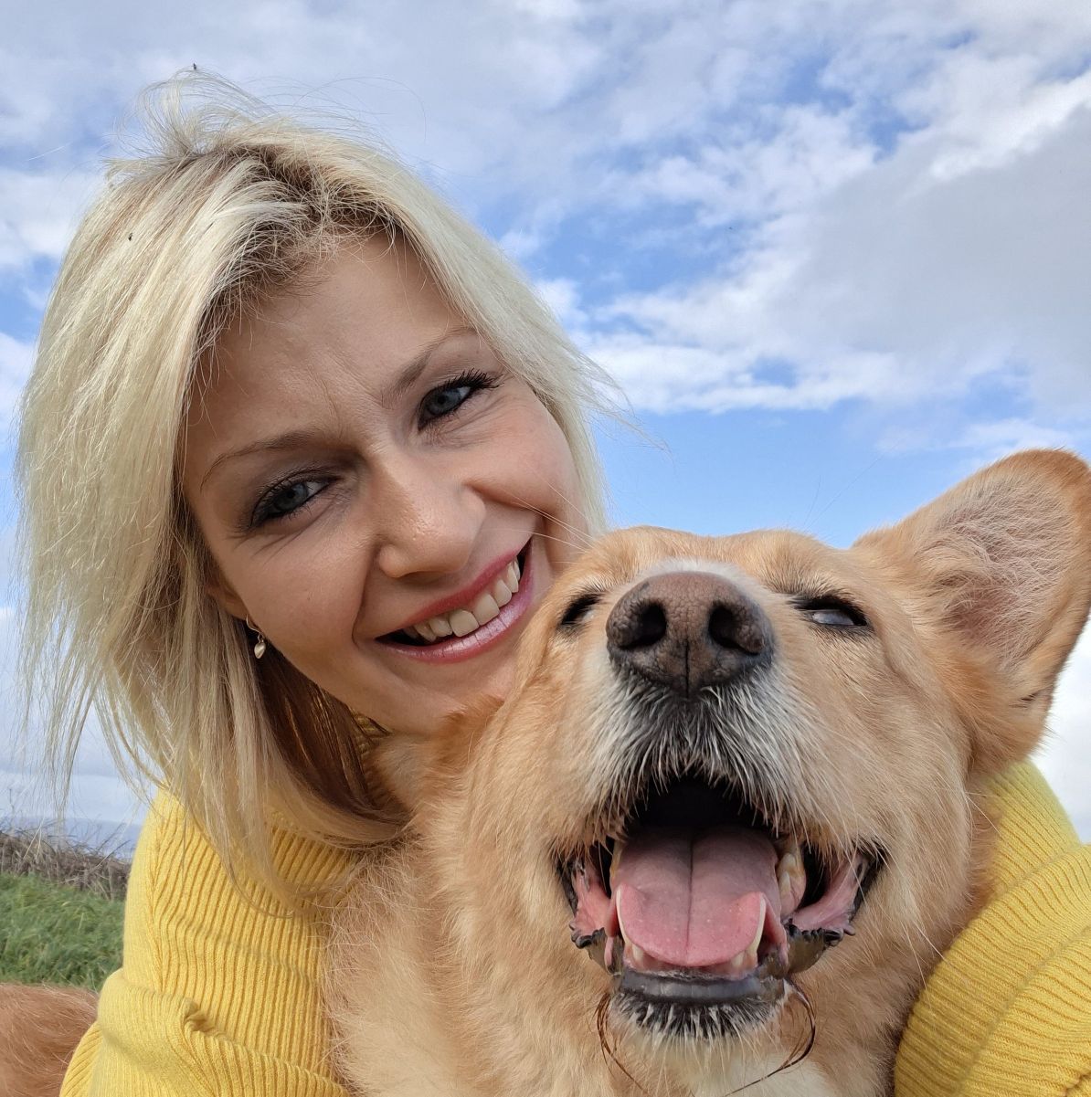 Happy doggies - Willow, Carla, Bella, Amber, Nell & Archie 🐶🐾 ️ ...
