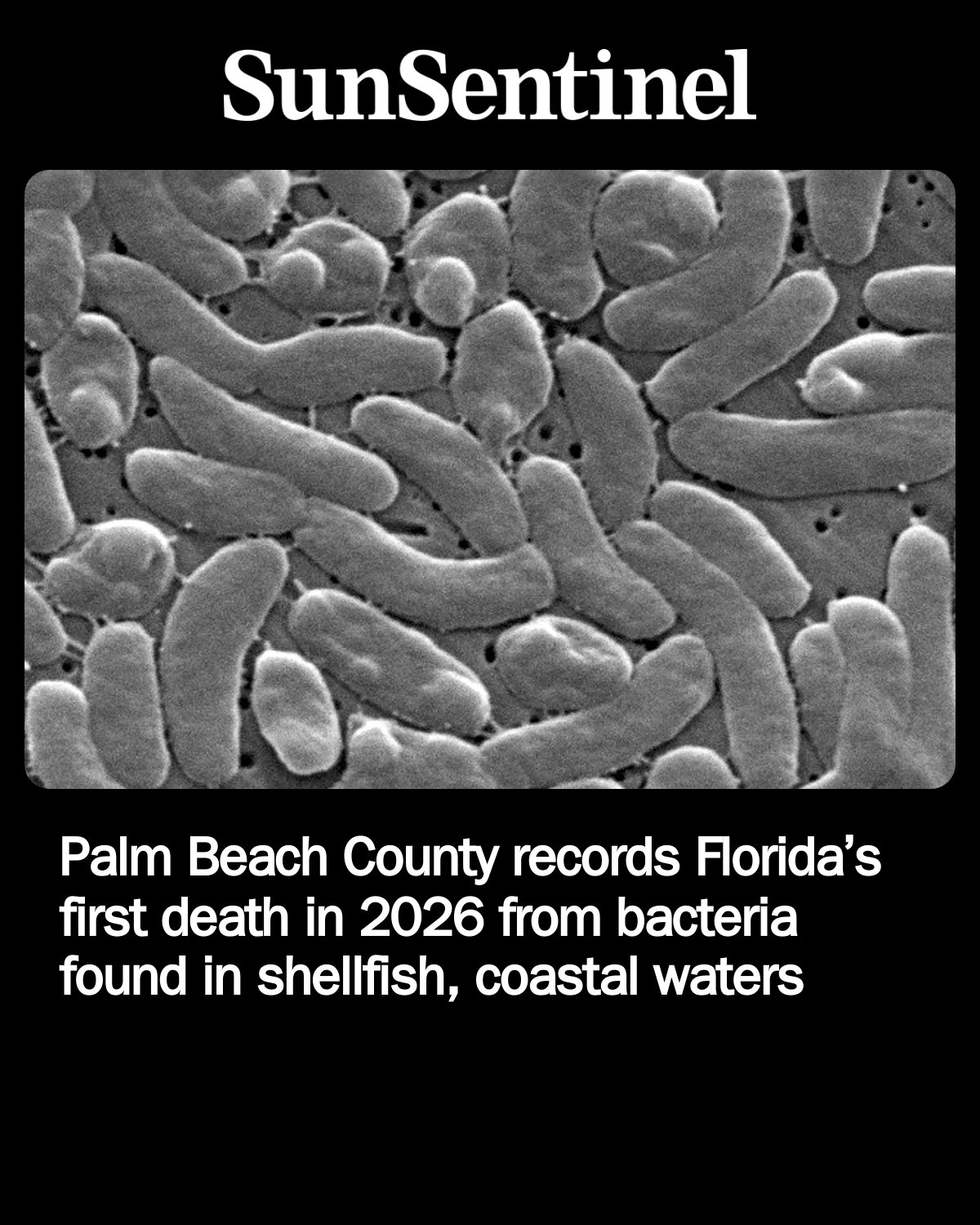 BACTERIA / WOMB Ⅱ RECORDED AT NOAH Palm Beach County is the first in the state in 2026 to report a