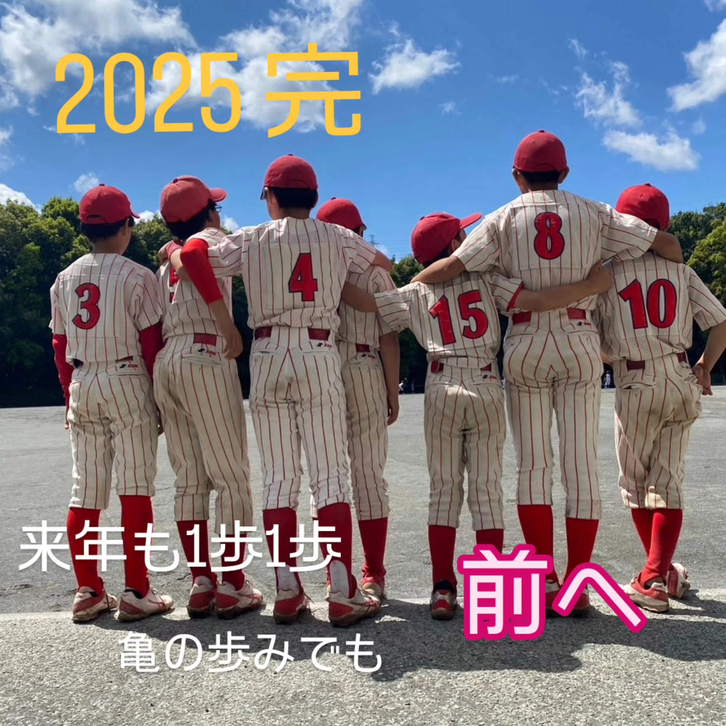レッドスネークコルツ - 高校野球も盛り上がりがすごいですね！ 初16強 