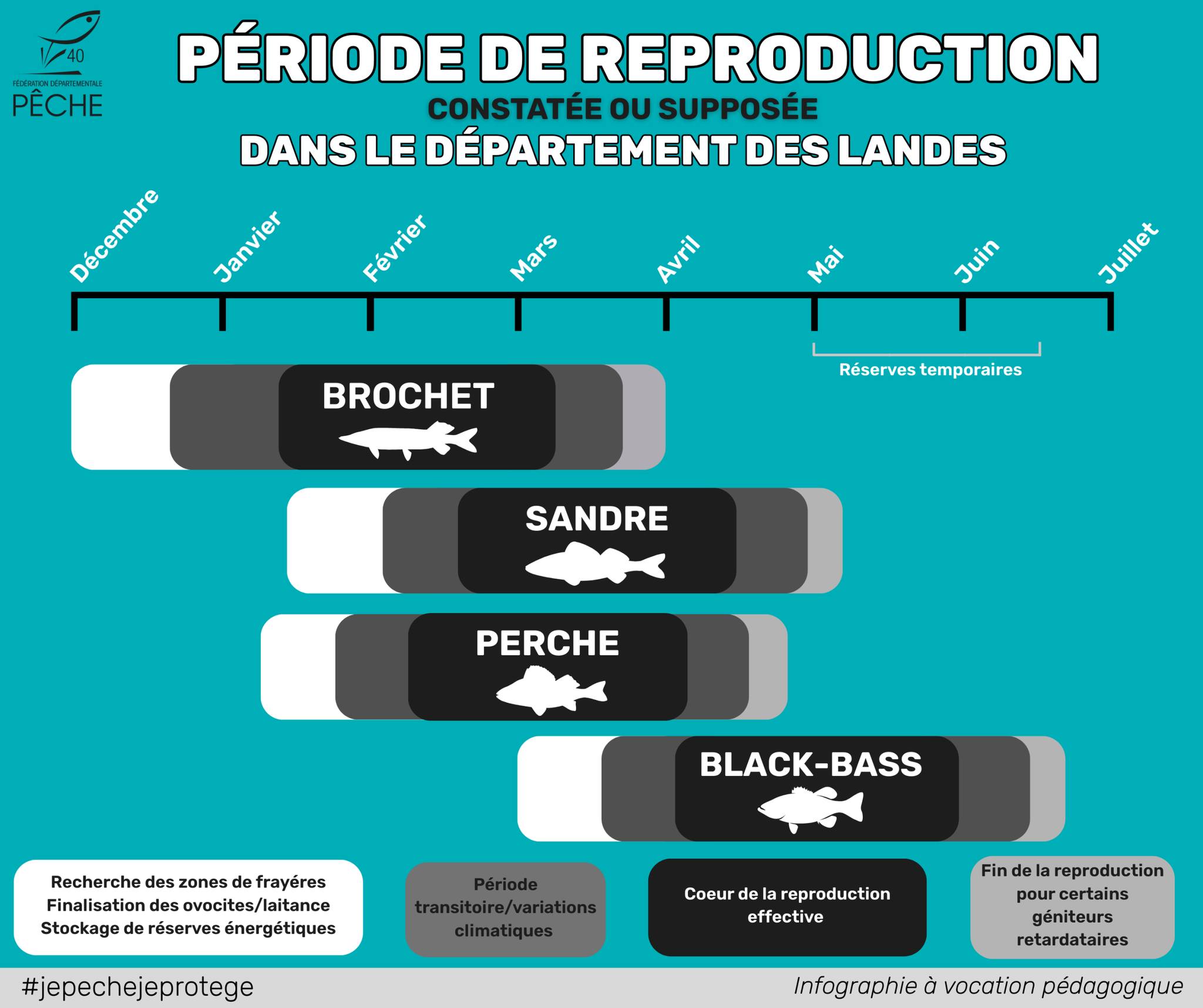Aappma Seignosse added a new photo. - Aappma Seignosse