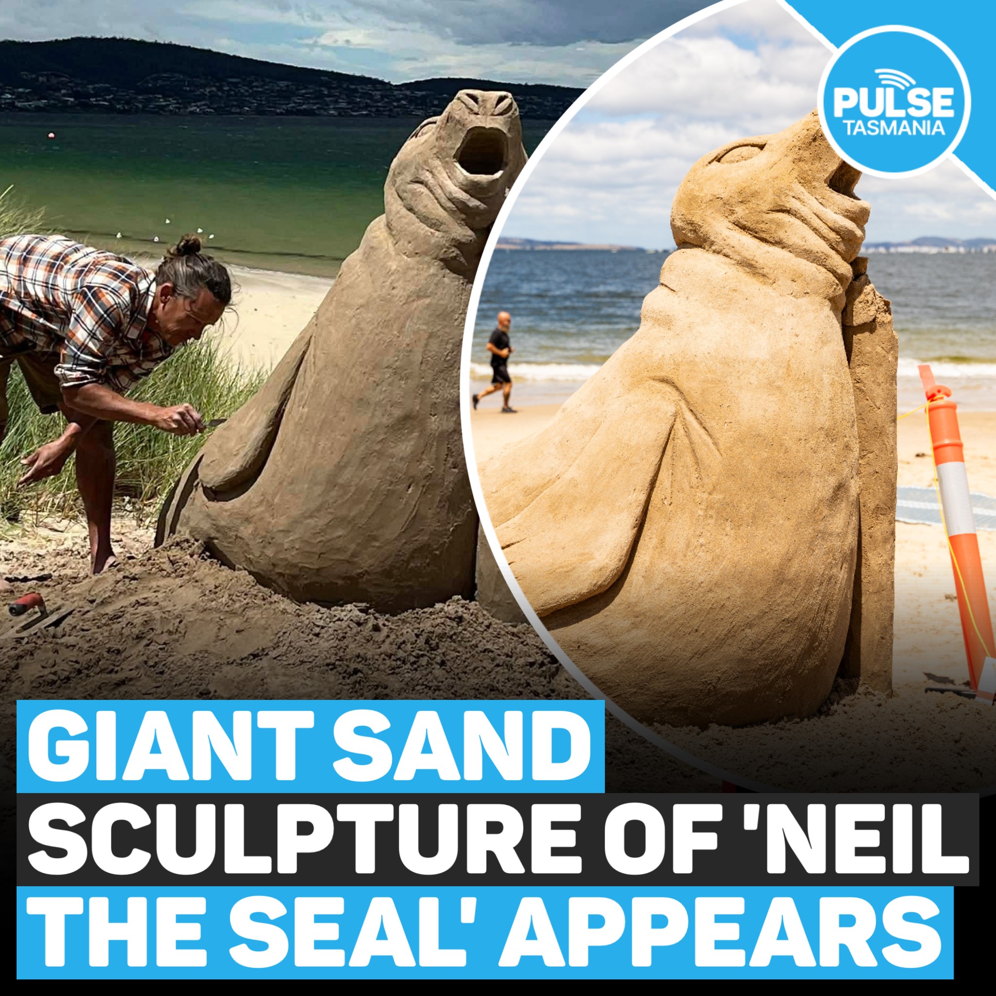 pulse-tasmania-a-giant-sand-sculpture-of-tasmania-s-facebook