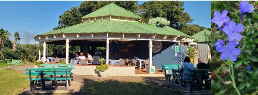 The Beach Café at Impithi | Pennington