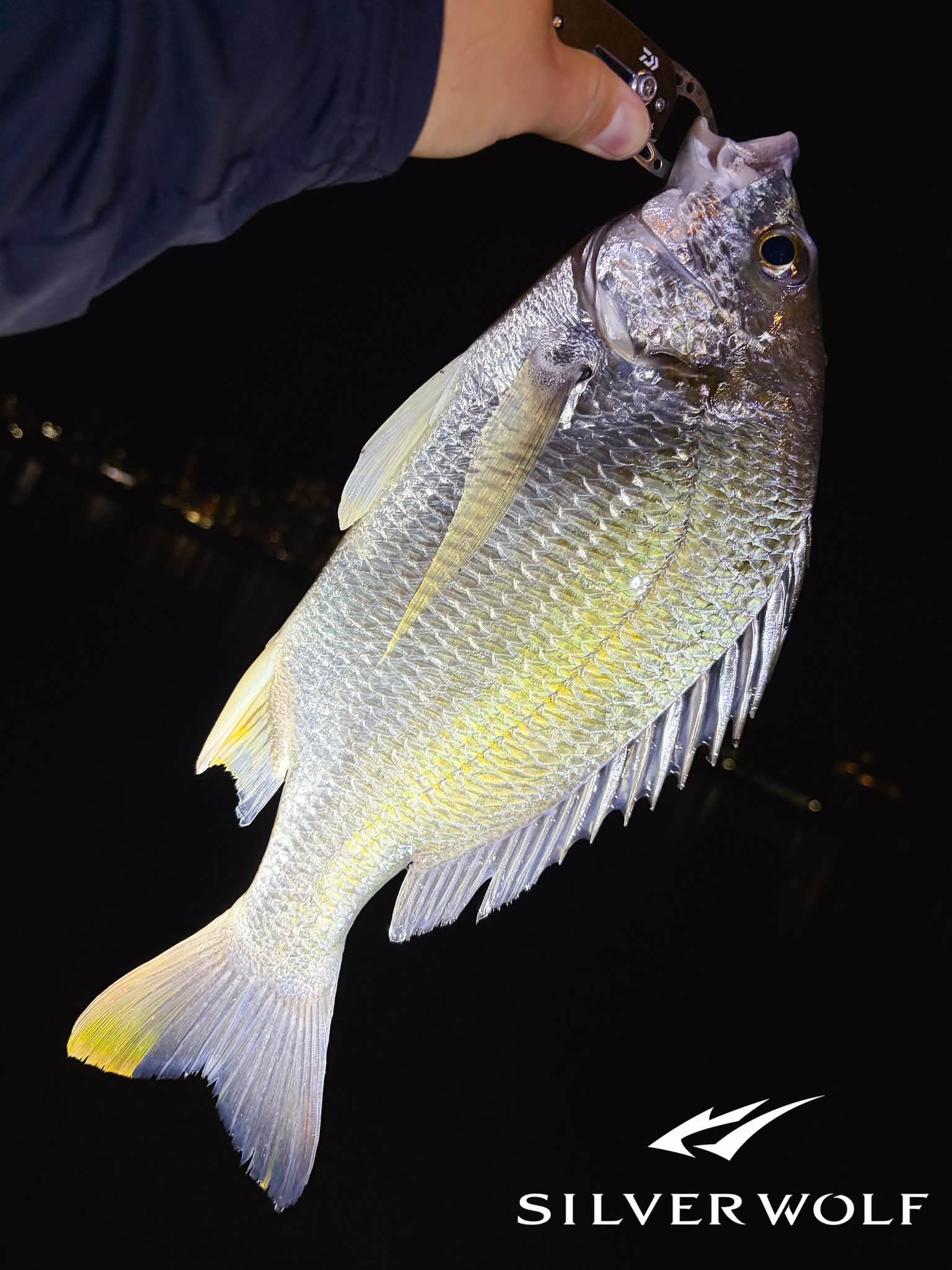 DEPS 2025 BASS竿款追加型號：SIDEWINDER & GAINELEMENT