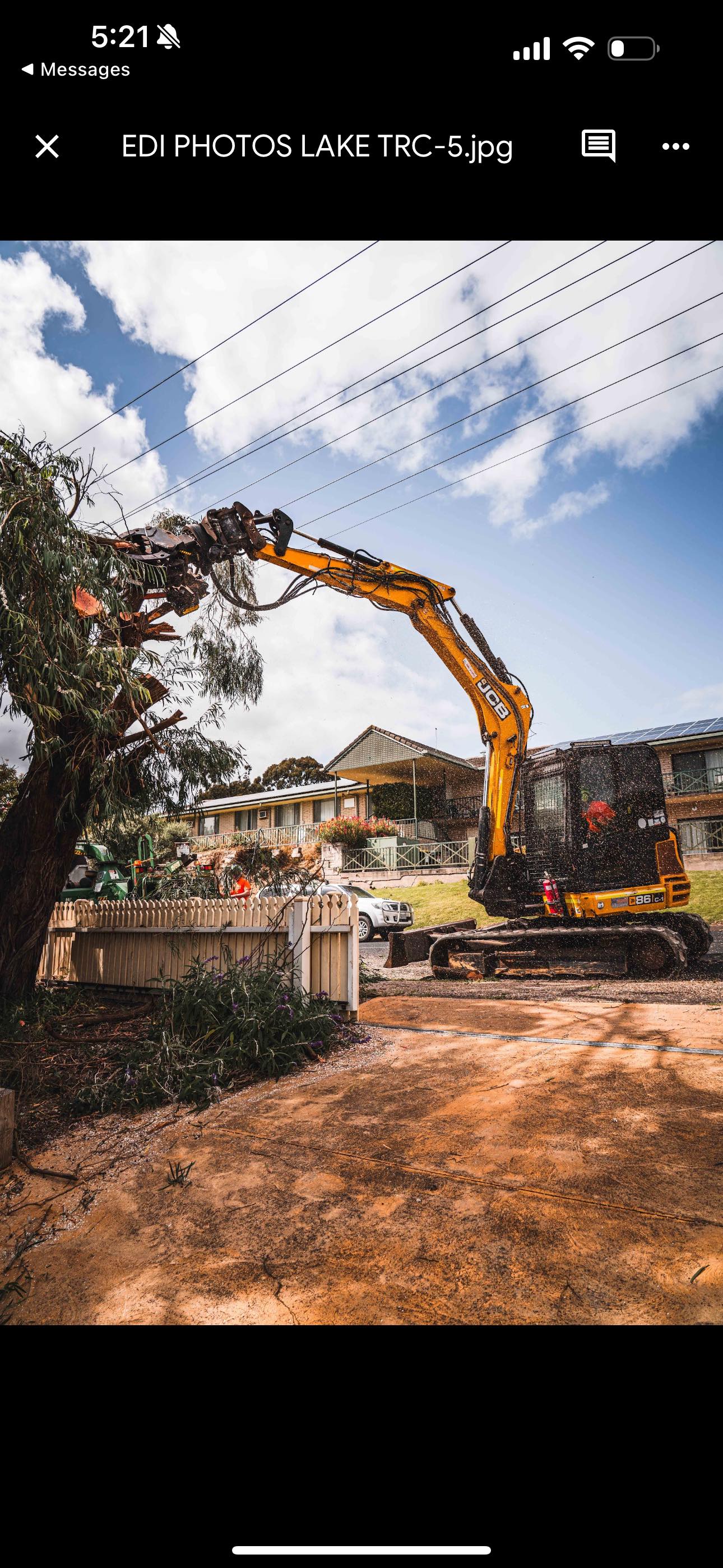 EDI Tree Services | Mount Gambier SA