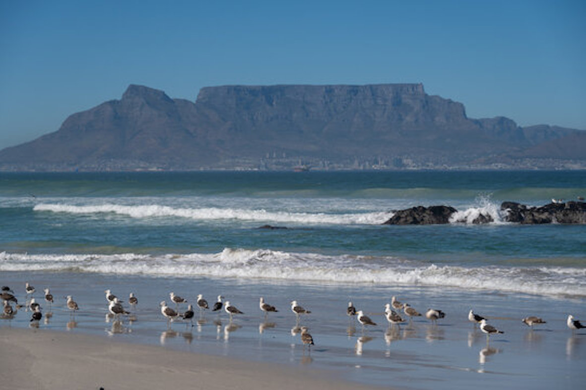 Childhood memories of Blouberg and a pony