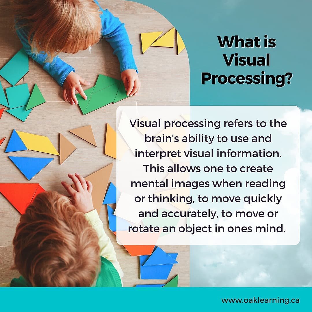 Oak Learning - What is Visual Processing?