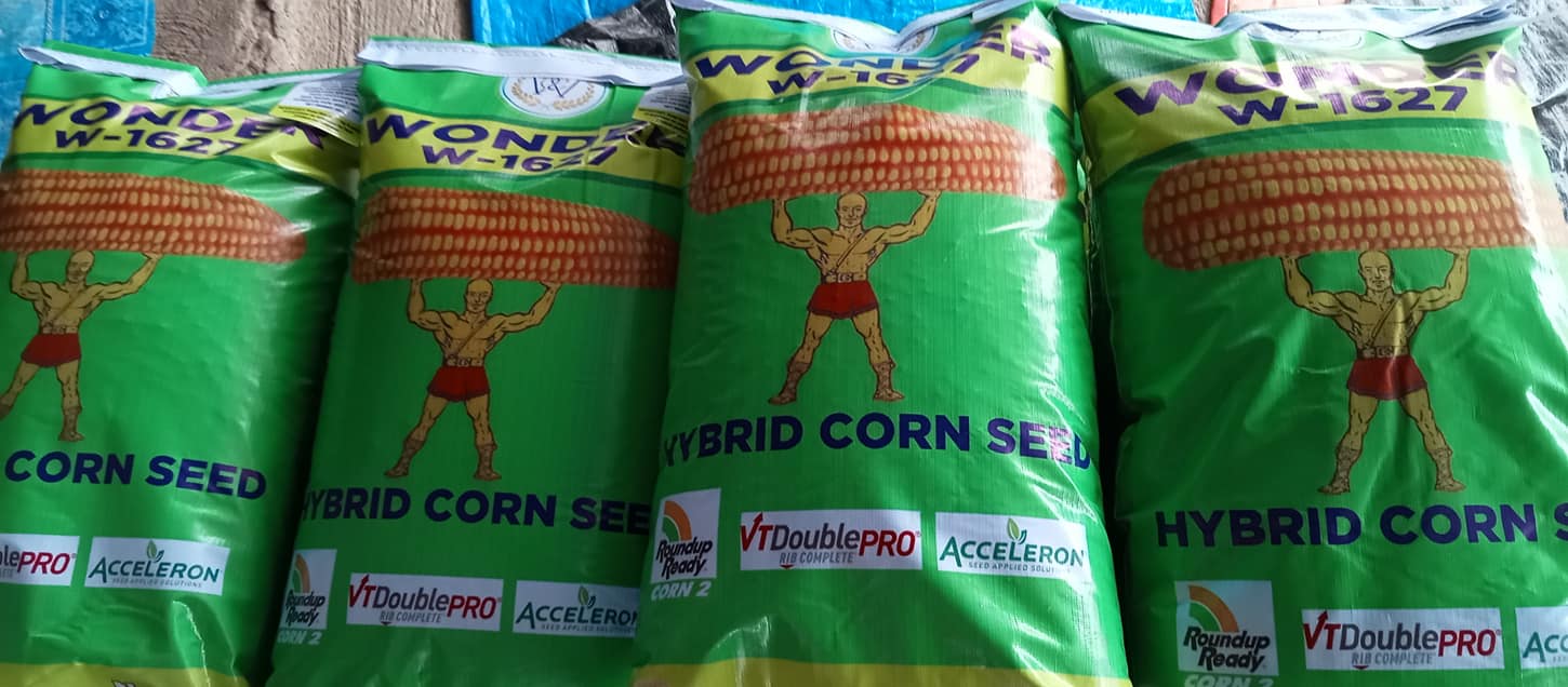 Wonder Hybrid Corn Seed added a... - Wonder Hybrid Corn Seed
