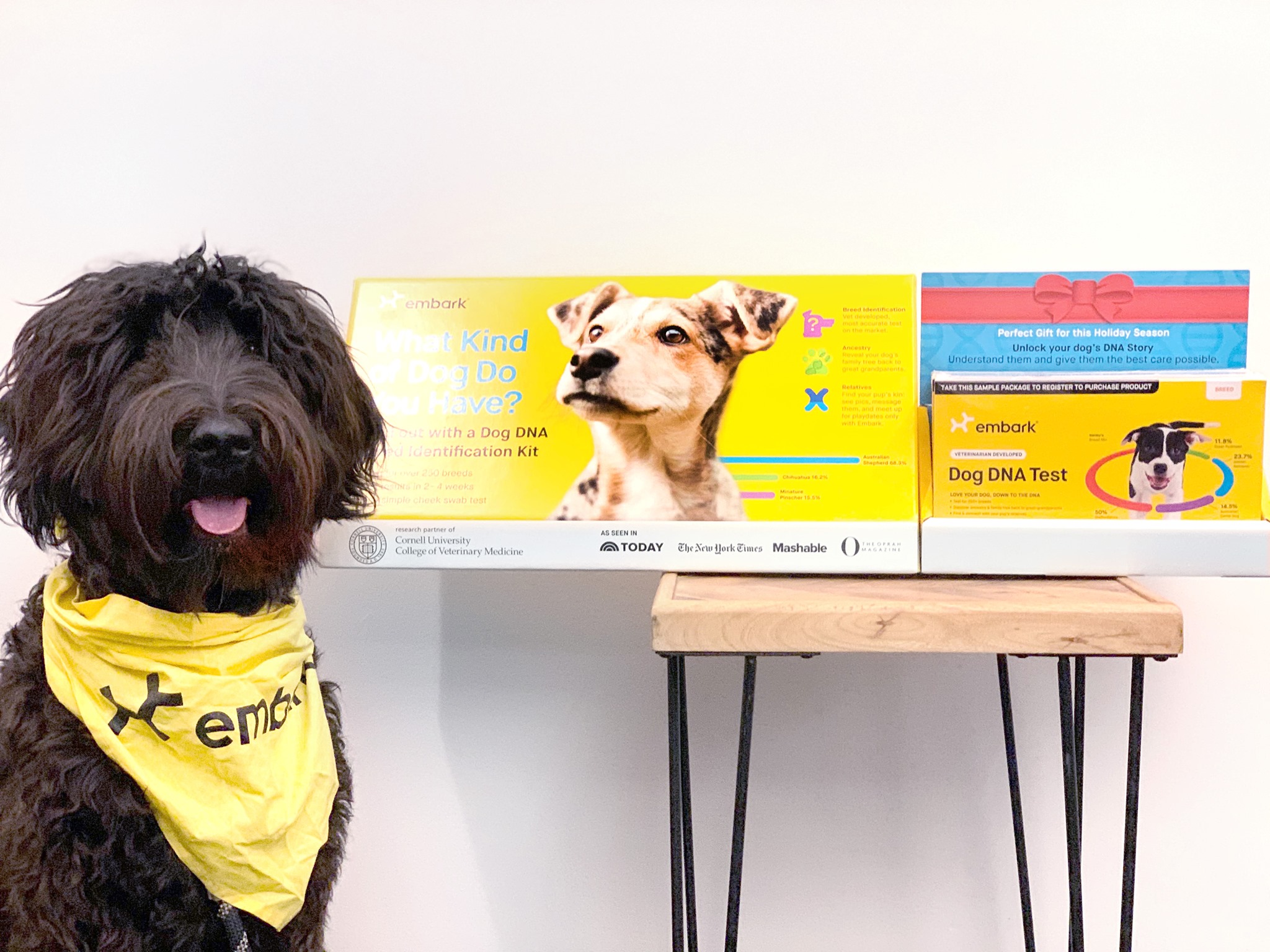 Embark Vet - We're excited to share that our Breed ID Kit...