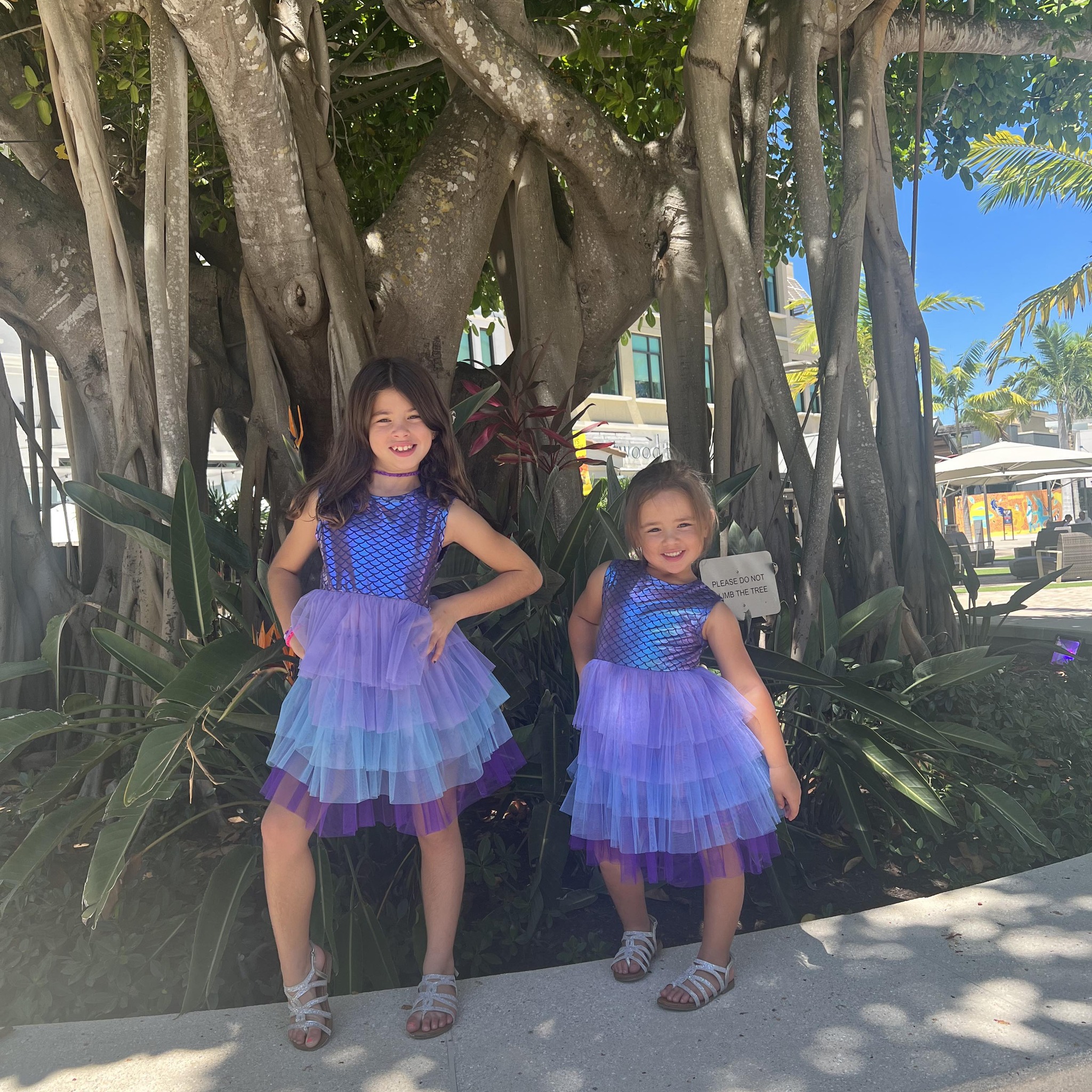 City of Marco Island | Does anyone know about the little black bugs ...