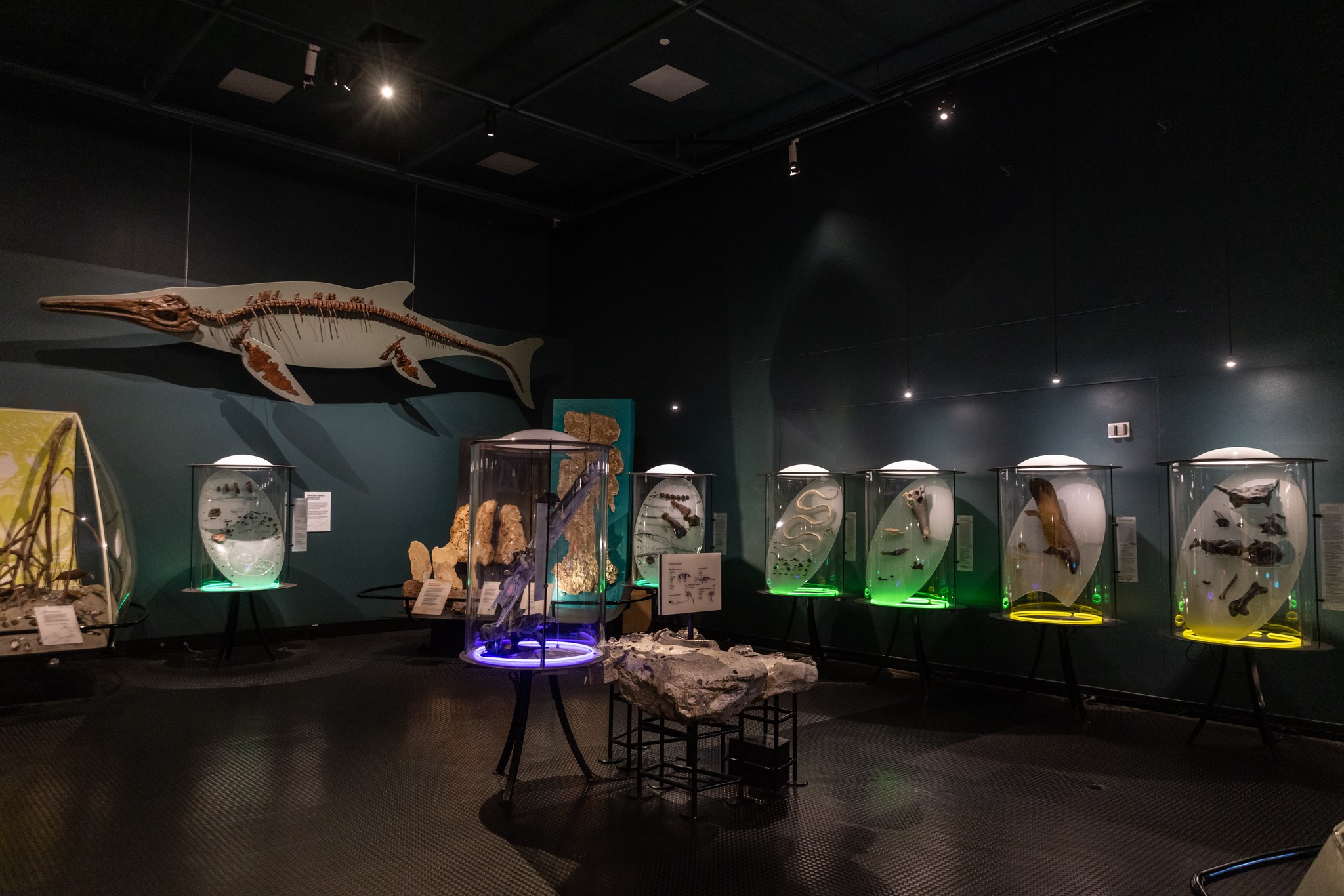 Museum... - Museum and Art Gallery of the Northern Territory