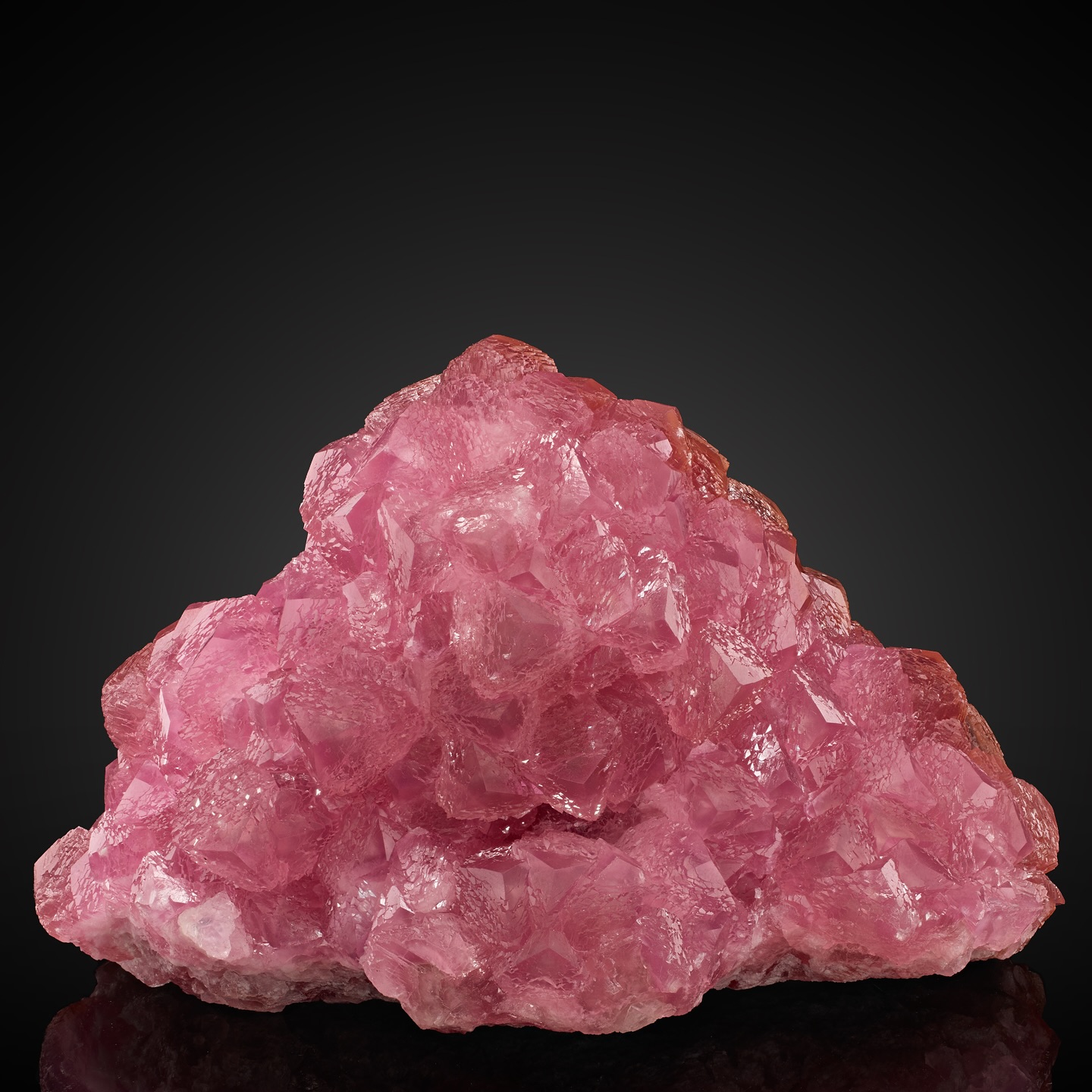 Collector's Edge Minerals - Species: Bastnasite-(Ce) Locality: Zagi ...