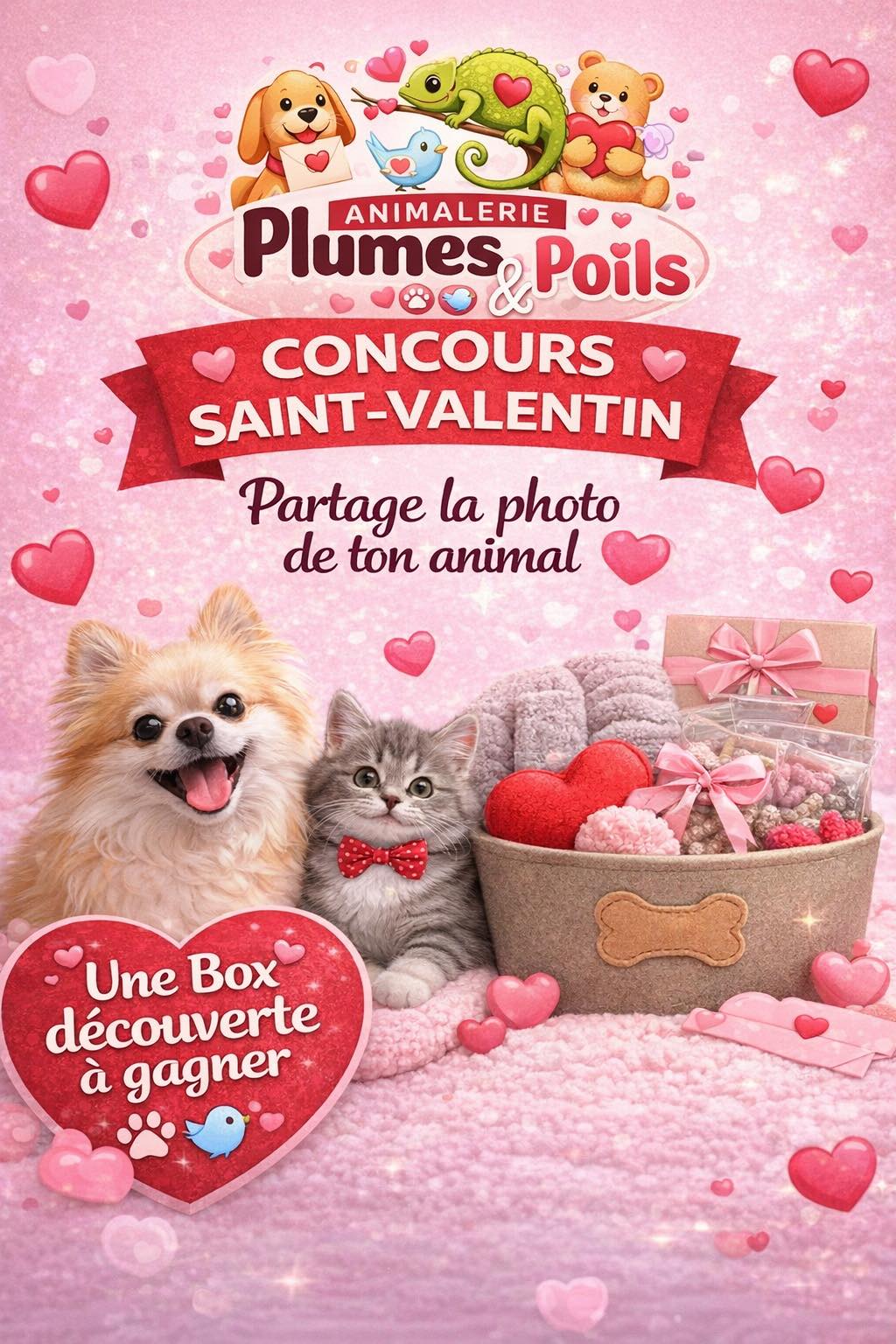 Plumes et Poils NC | Nouméa