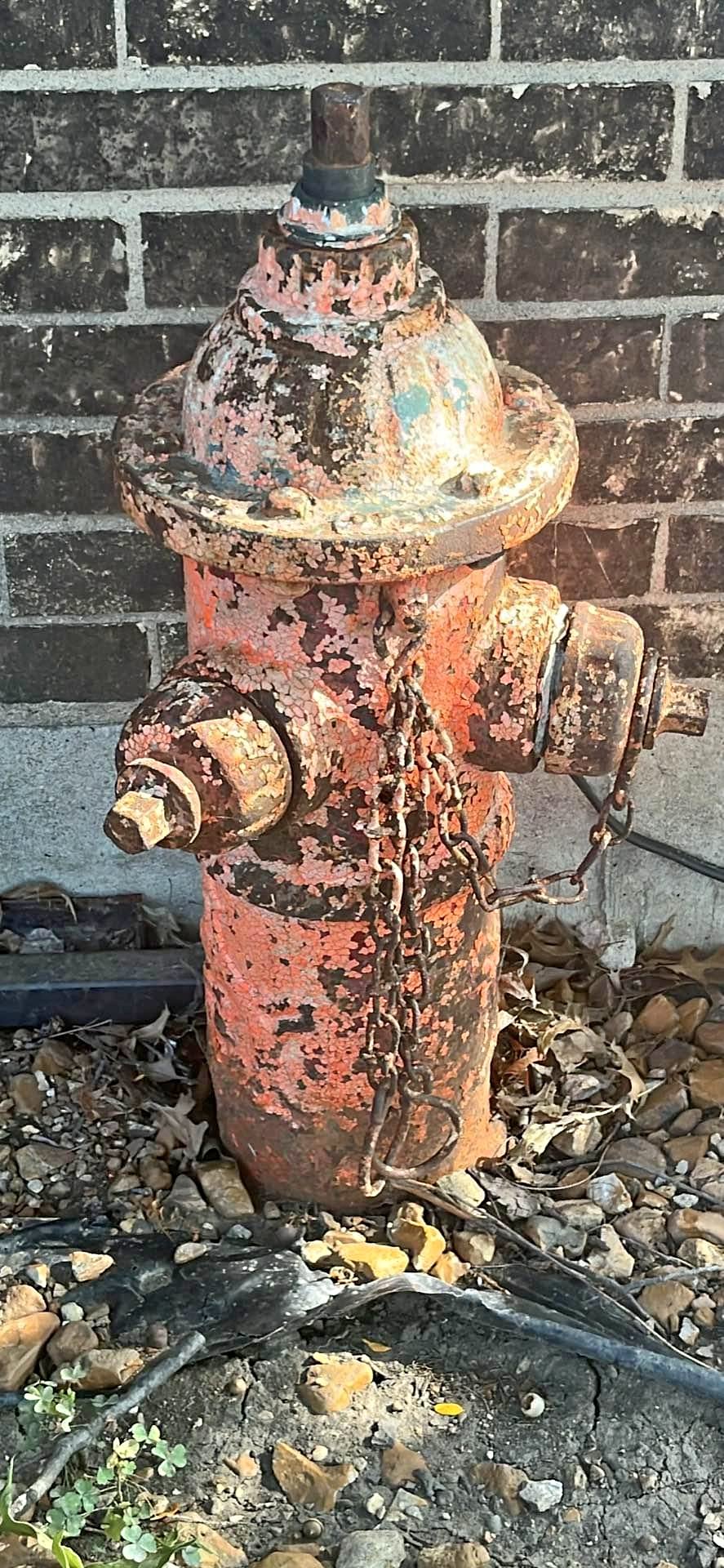 1950’s Fire plug - Fire Pits & Chimineas - Tinley Park, Illinois ...