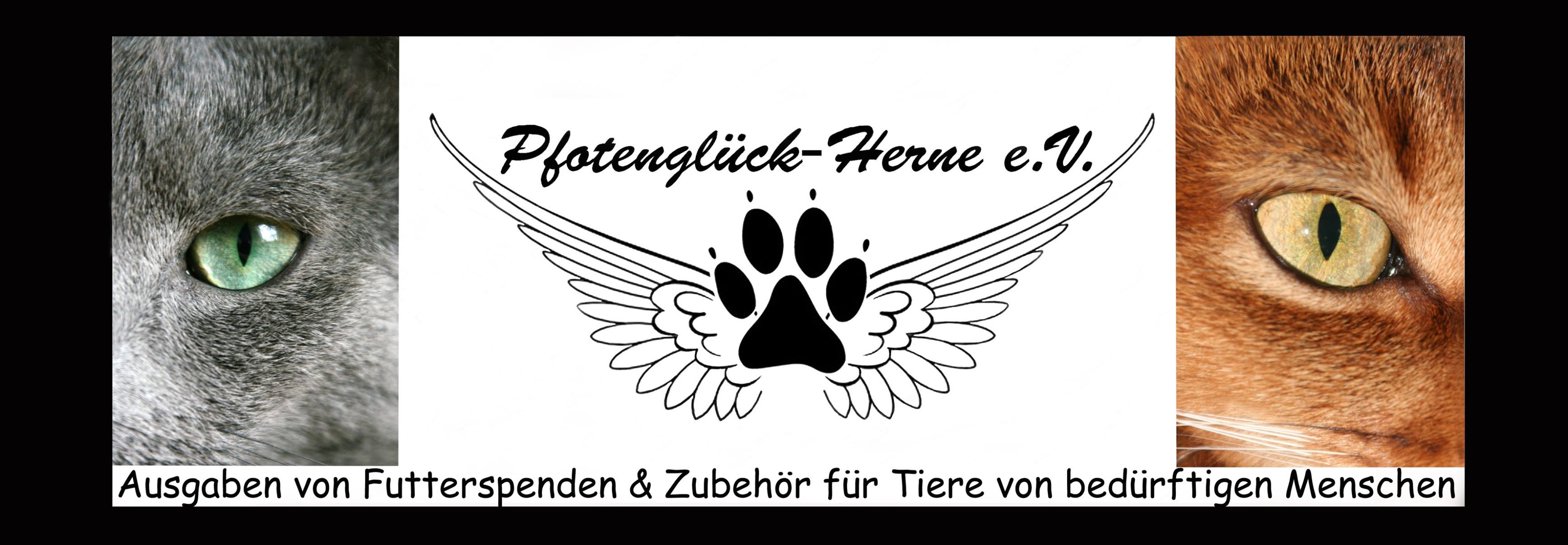 Pfotengluck Herne Futterspendenausgabe Community Facebook