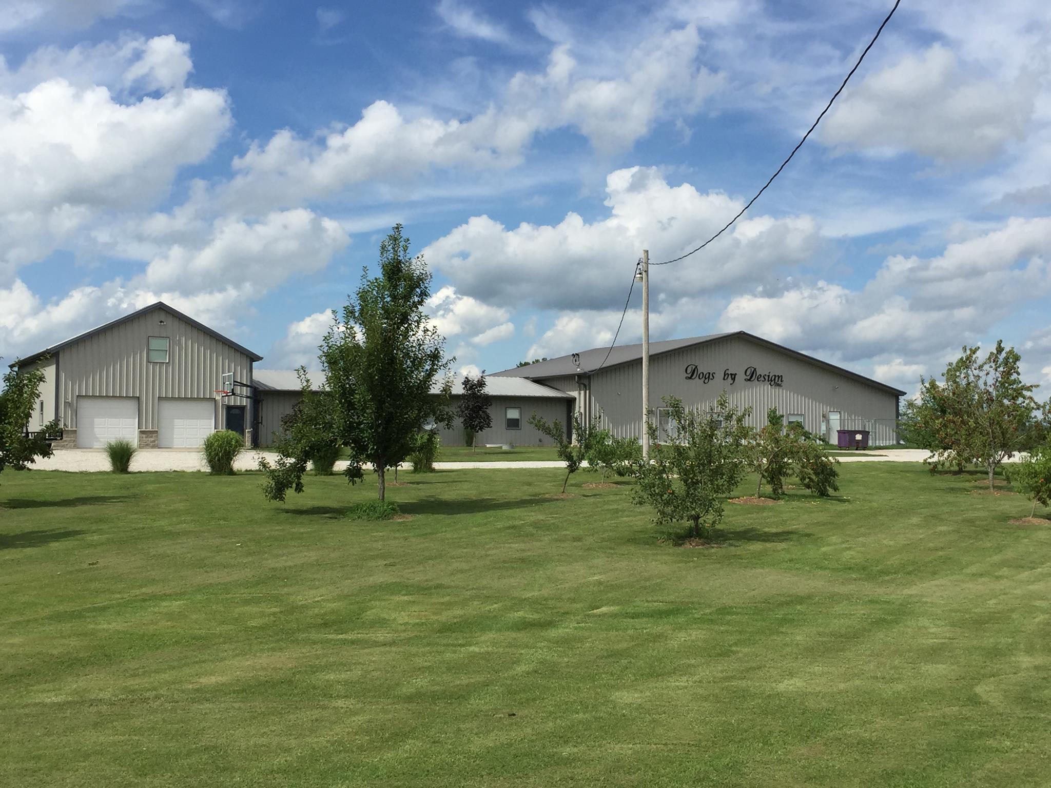 Dogs by Design | Effingham IL
