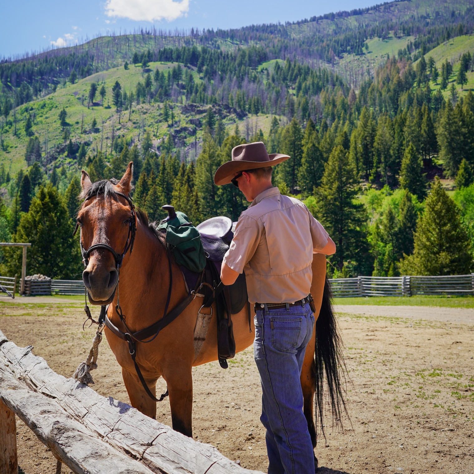 Diamond D Ranch