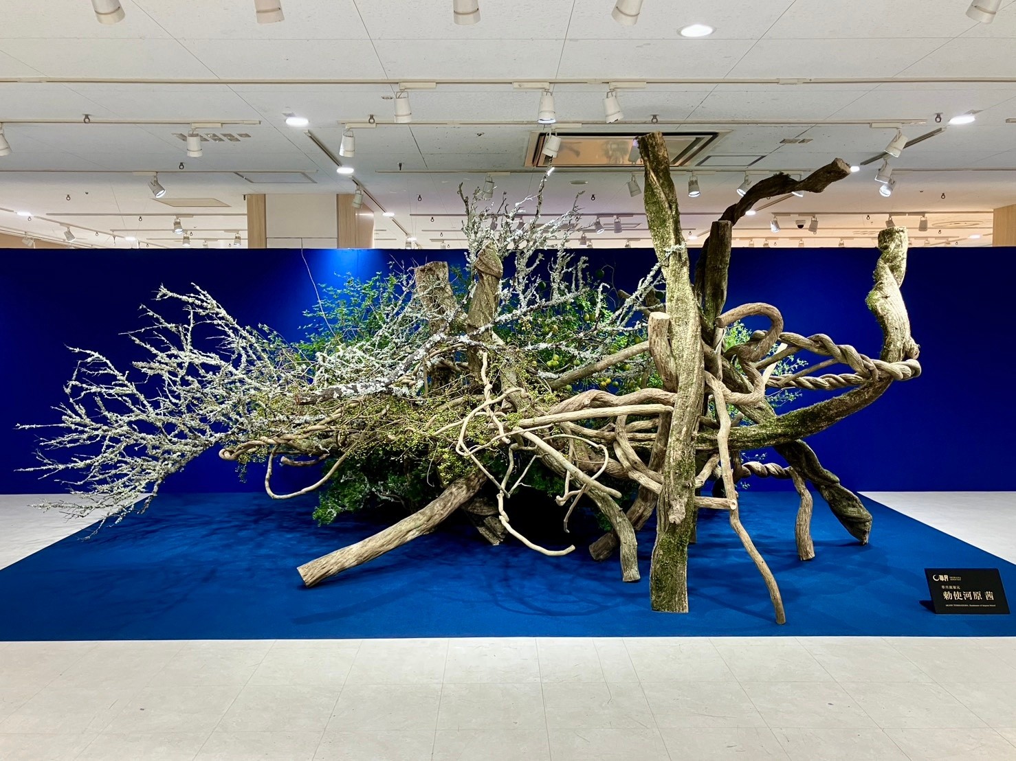 日本間の作品をご紹介します 草月会館5階 日本間では、季節のいけばな