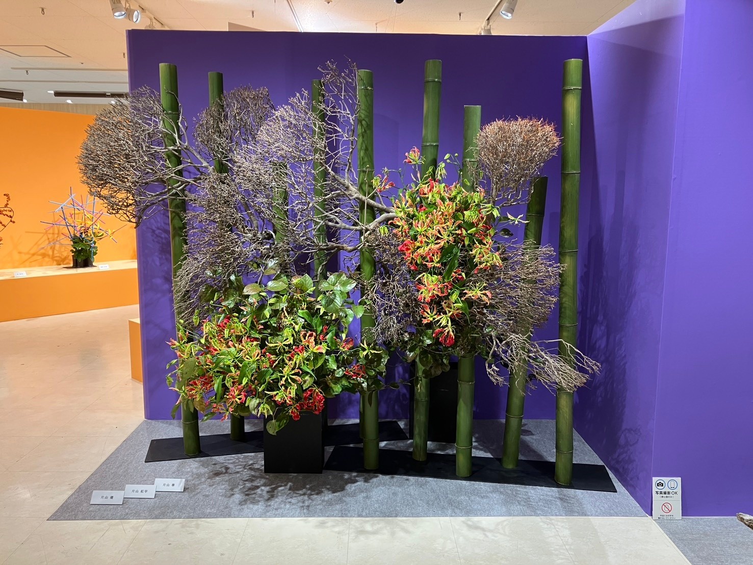 第2次展スタート！／ 【開催中】第56回日本いけばな芸術展 日本橋髙