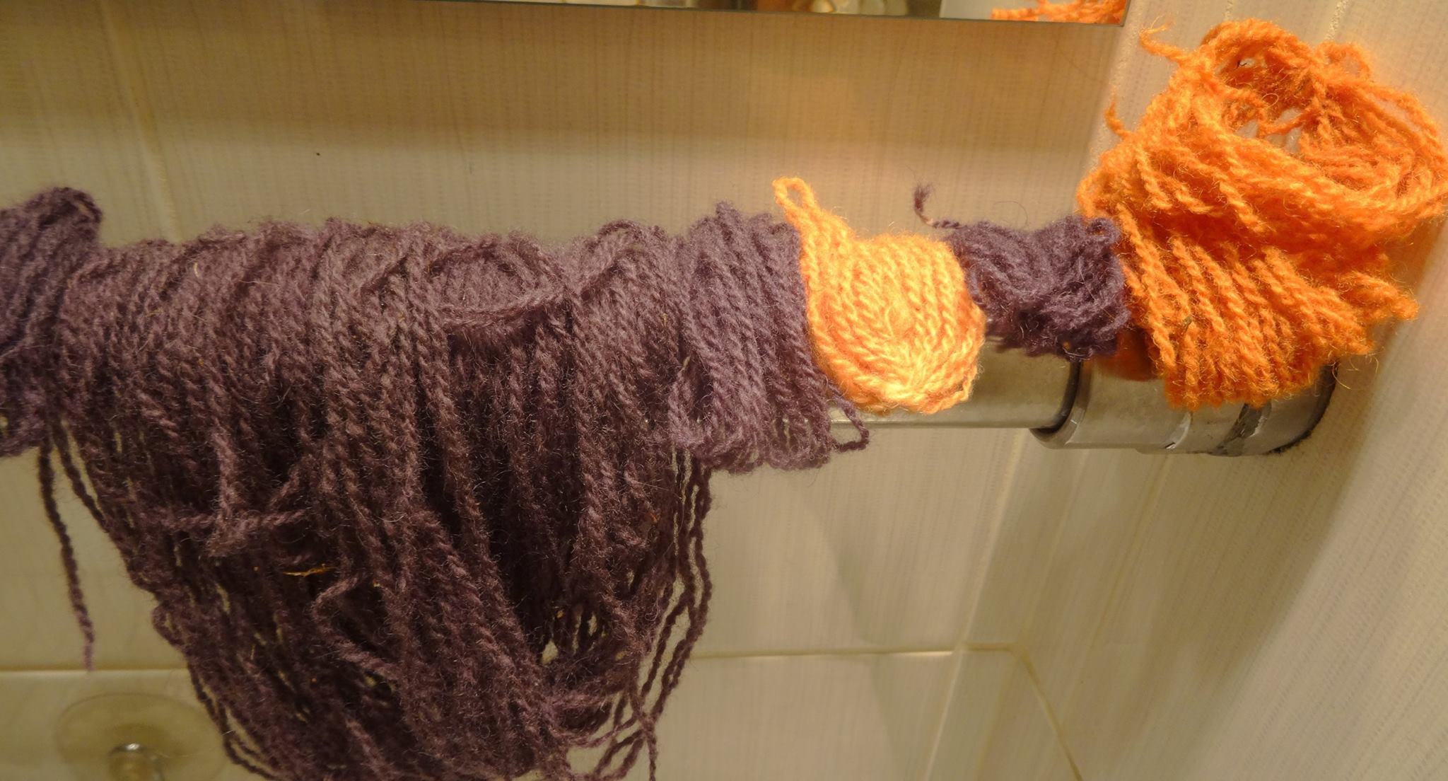 Dyeing wool purple with paxillus atrotomentosus mushrooms