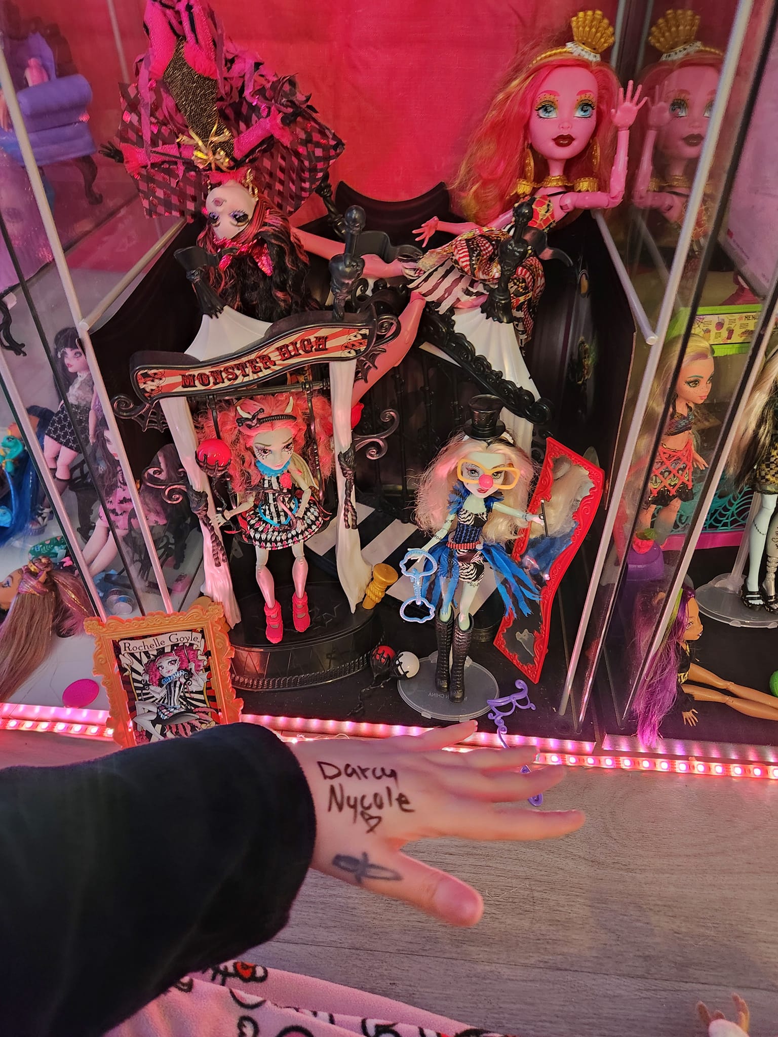 Monster High Freak Du Chic play set for sale