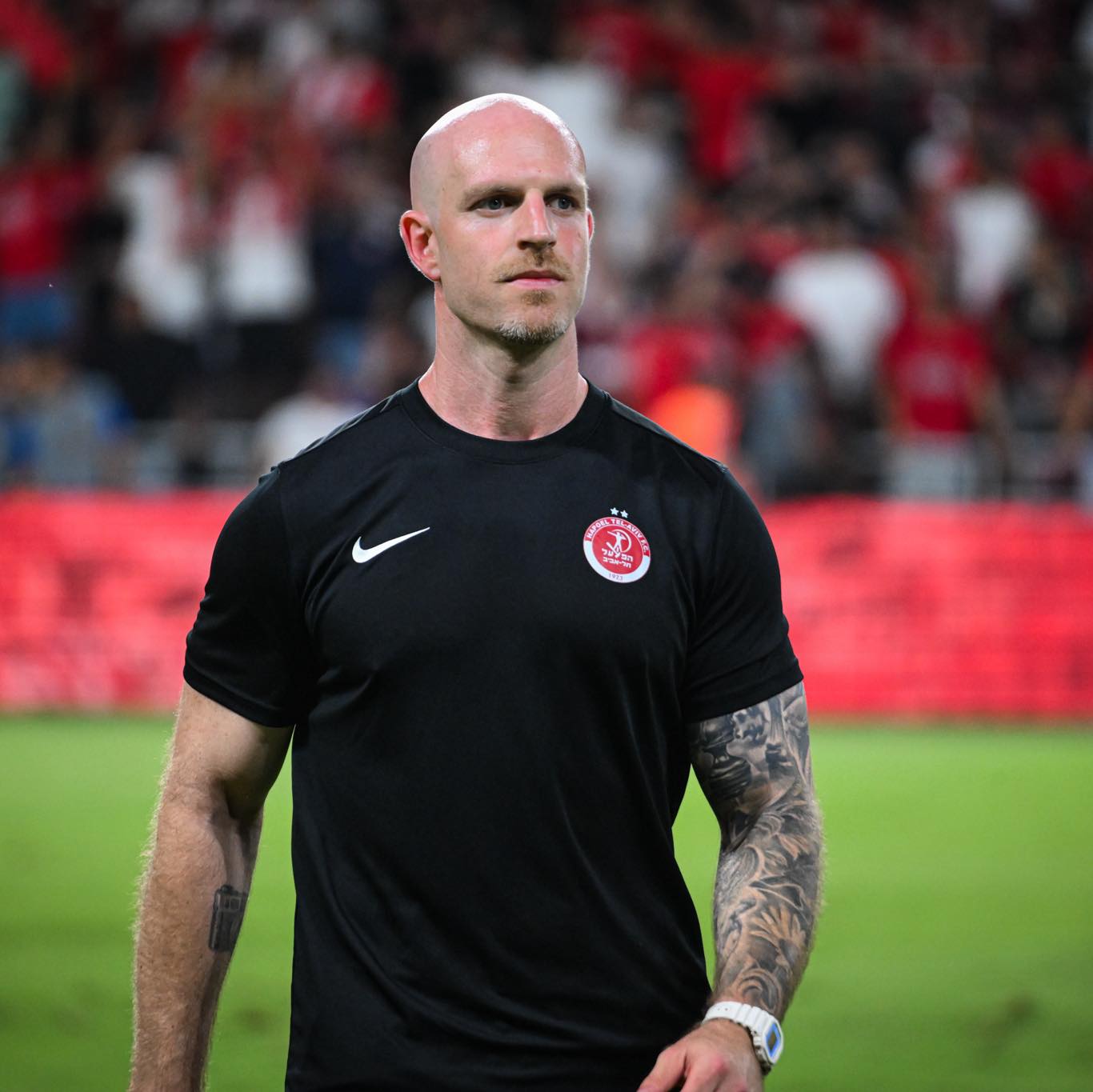 Tal Volik