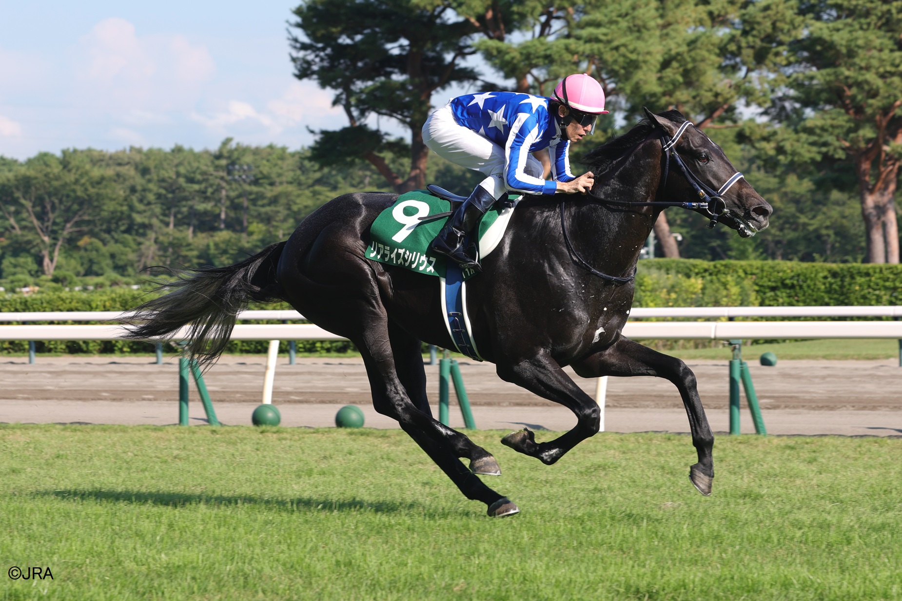 JRA（日本中央競馬会） - 1999年の札幌記念（GII）を優勝したのは芦毛