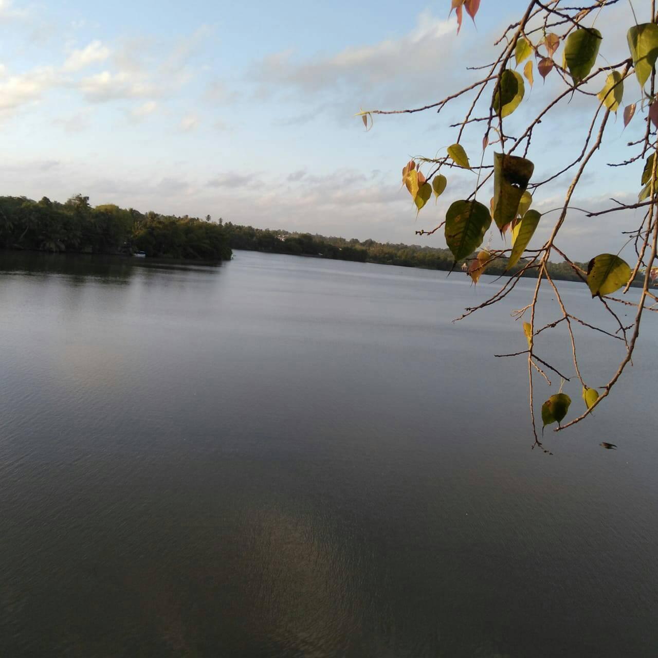 Dammika Narasingha