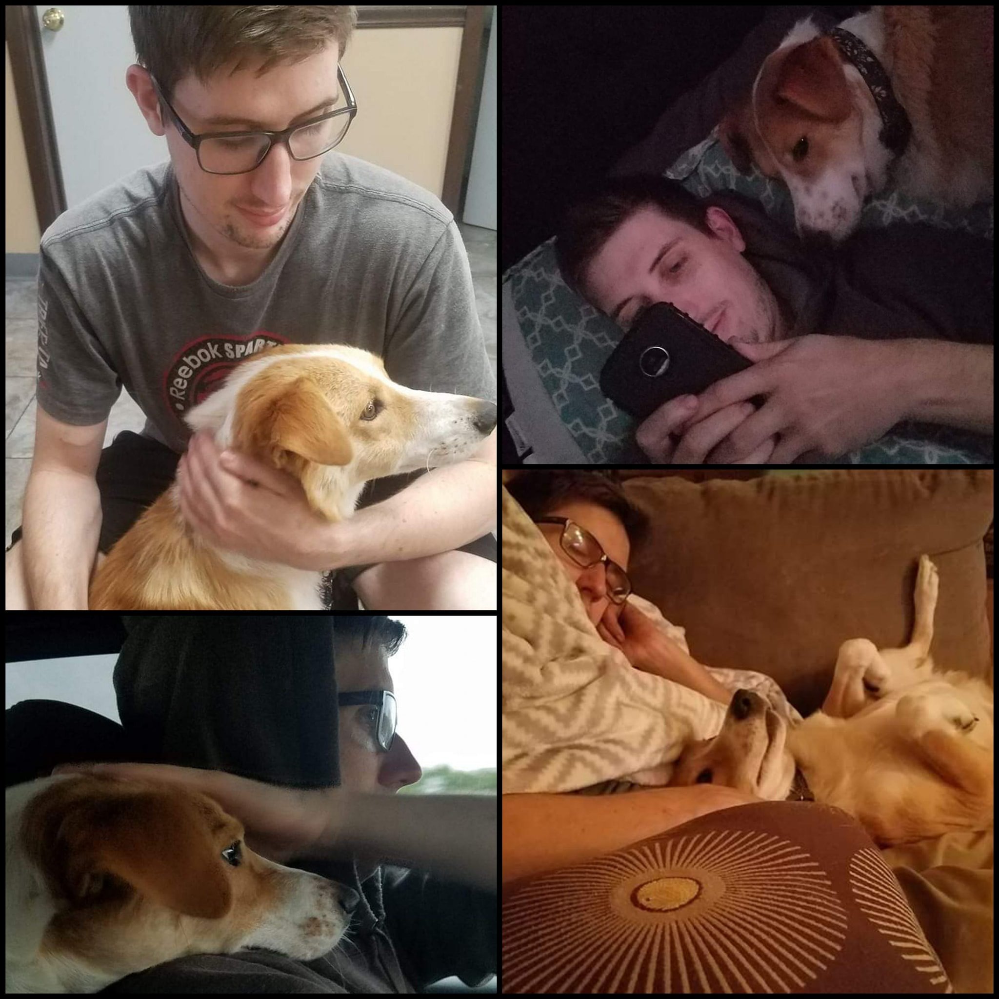 Happy Birthday to my... - Archie the Romanian Underdog | Facebook