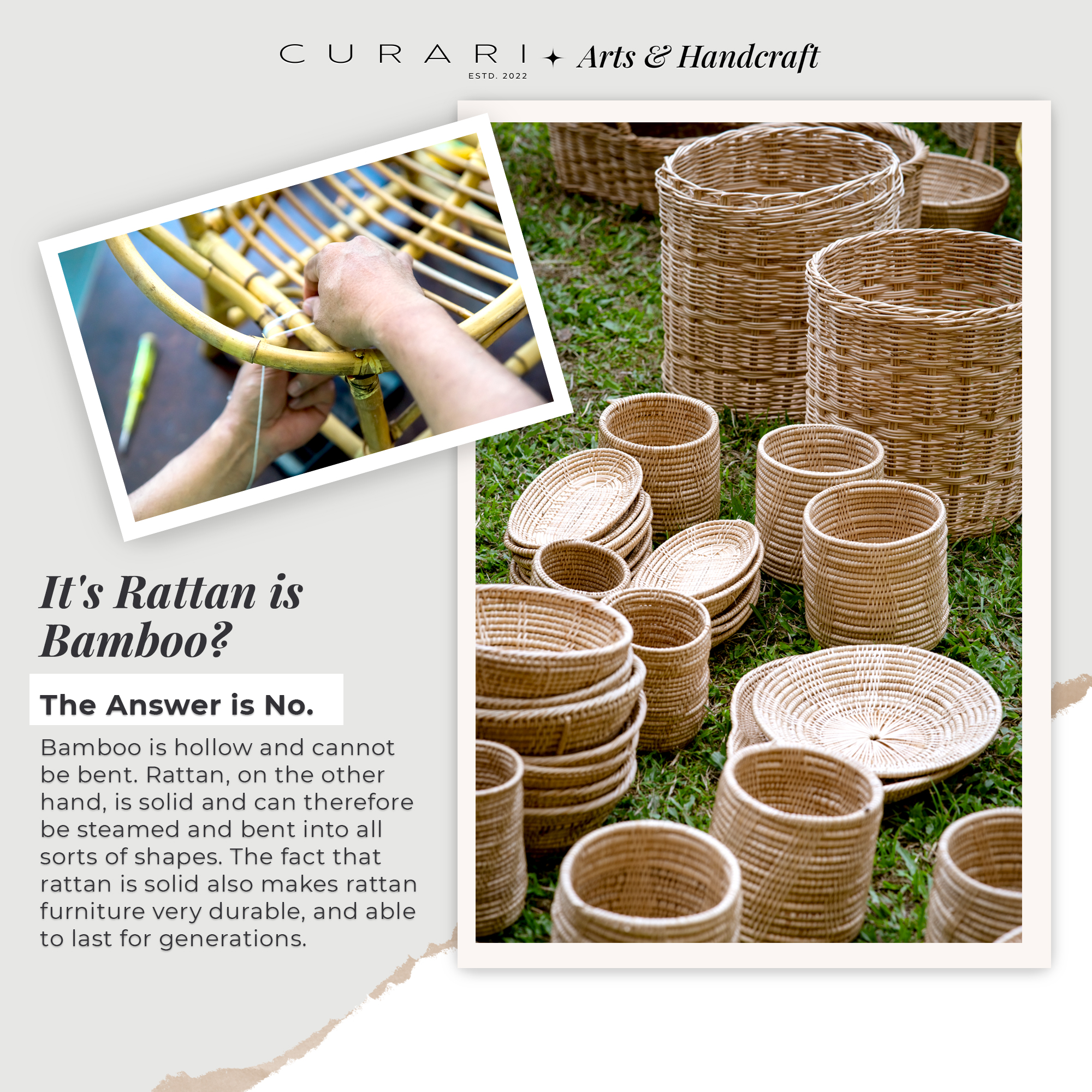 CURARI 酷睿 - What Is The Difference Between Rattan and...