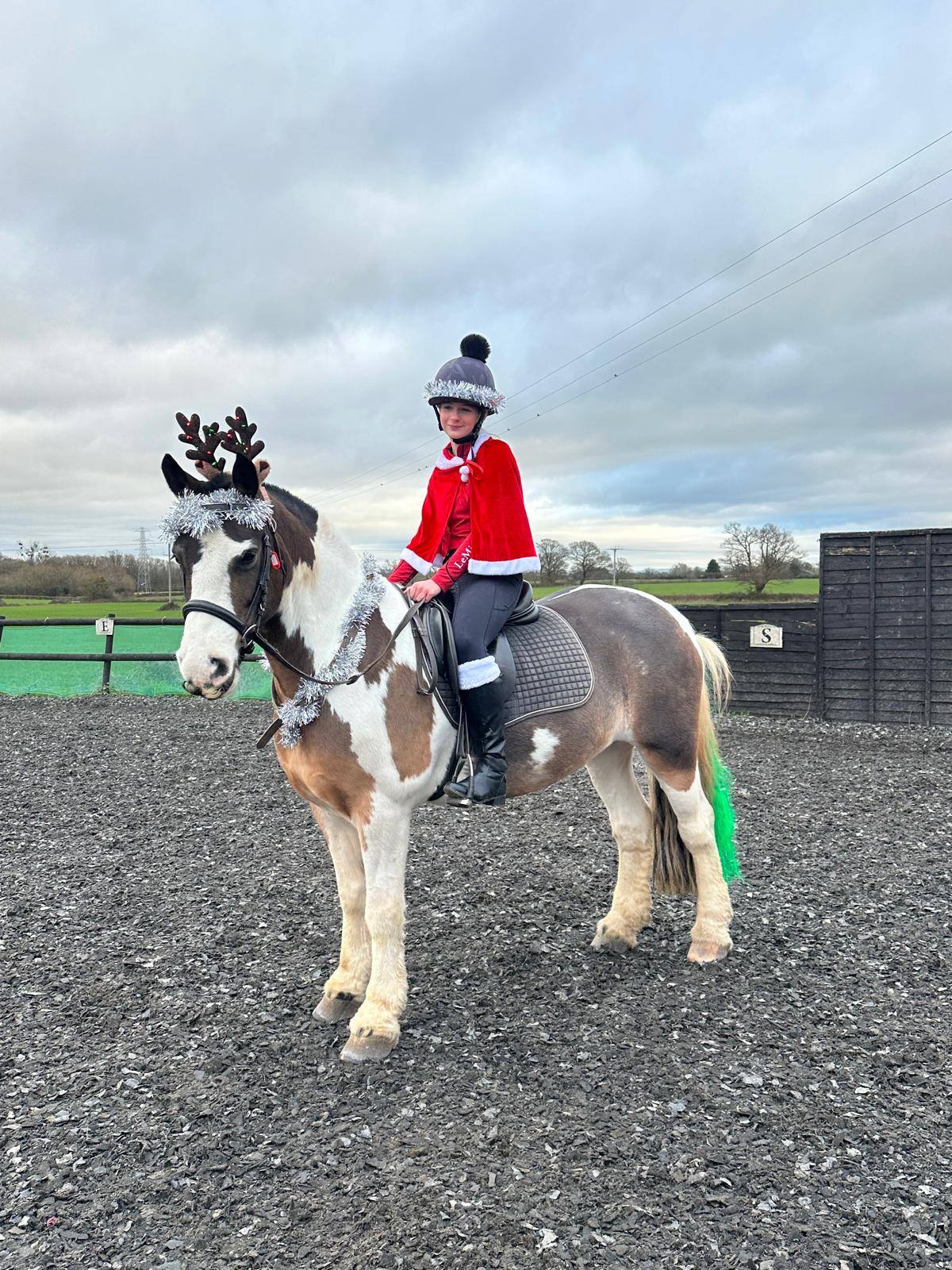 Malvern Riding... - Malvern Riding School & Equine College