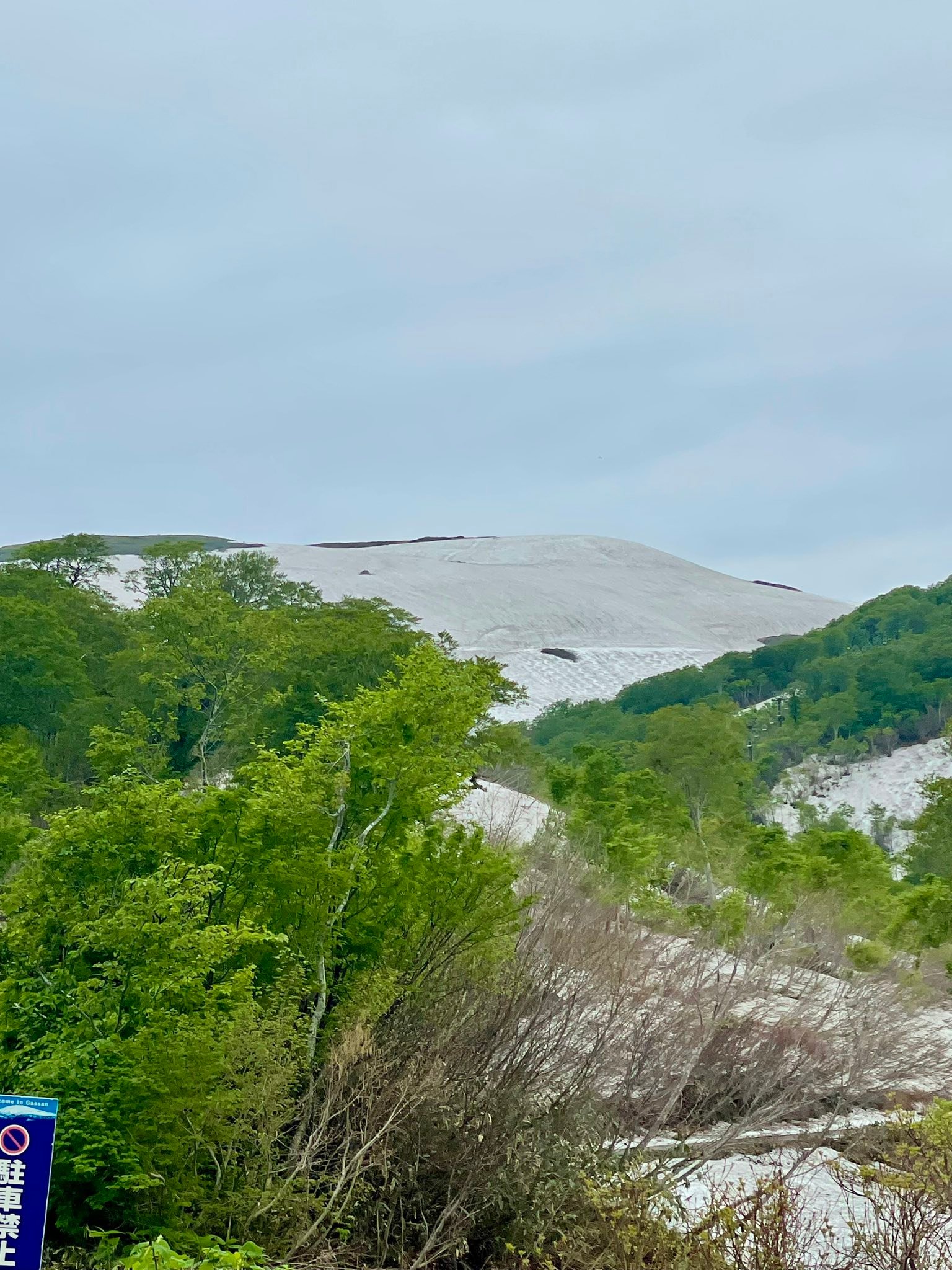 月 山 の 天気