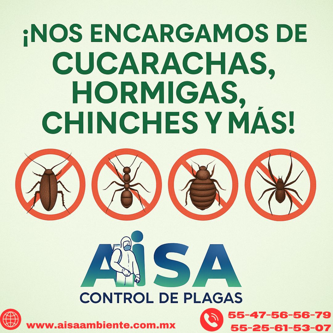 Control - Insectos rastreros comunes 🚫 “¡Nos encargamos de cucarachas ...