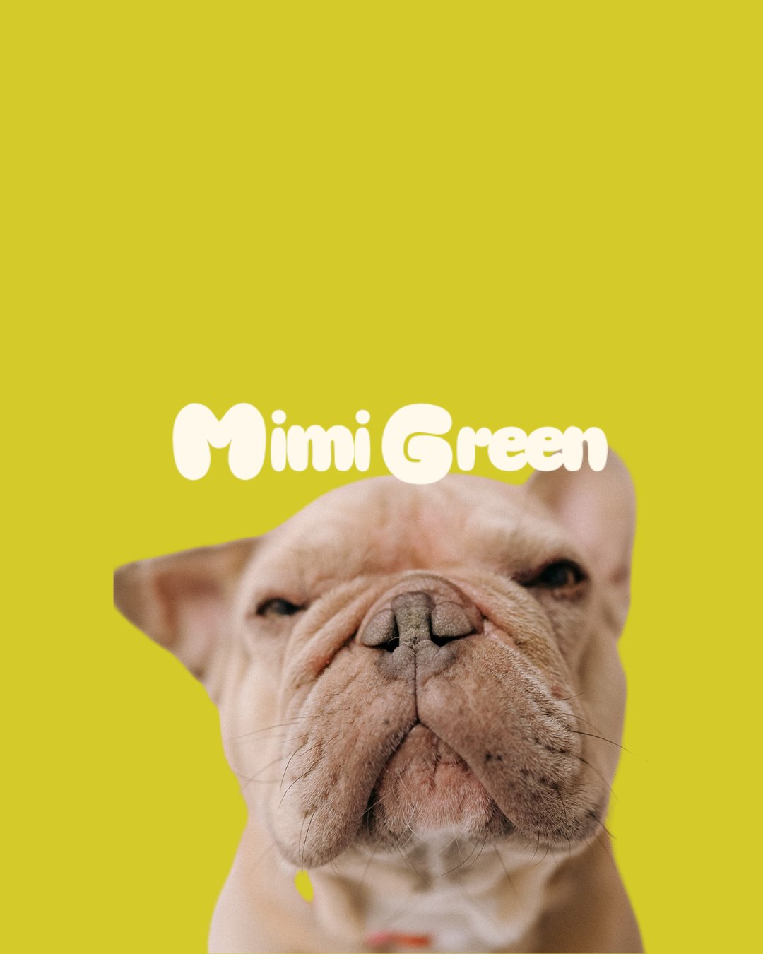 We love biothane at Mimi Green! Not only are there so many beautiful ...