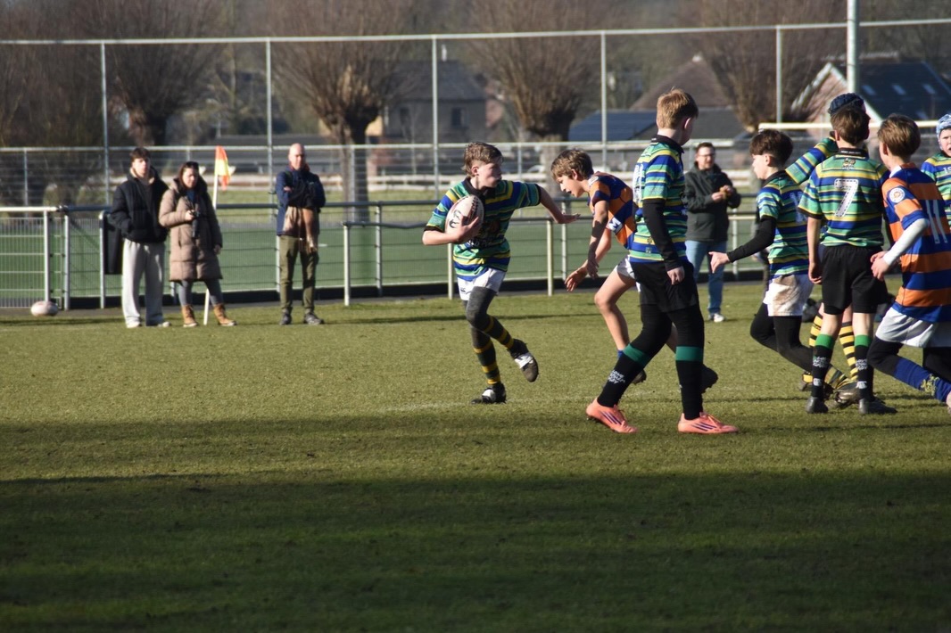Arnhemse Rugby Club The Pigs | Arnhem