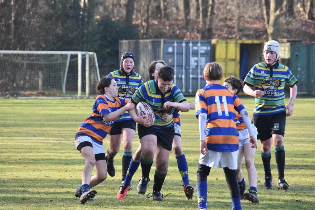 Arnhemse Rugby Club The Pigs | Arnhem