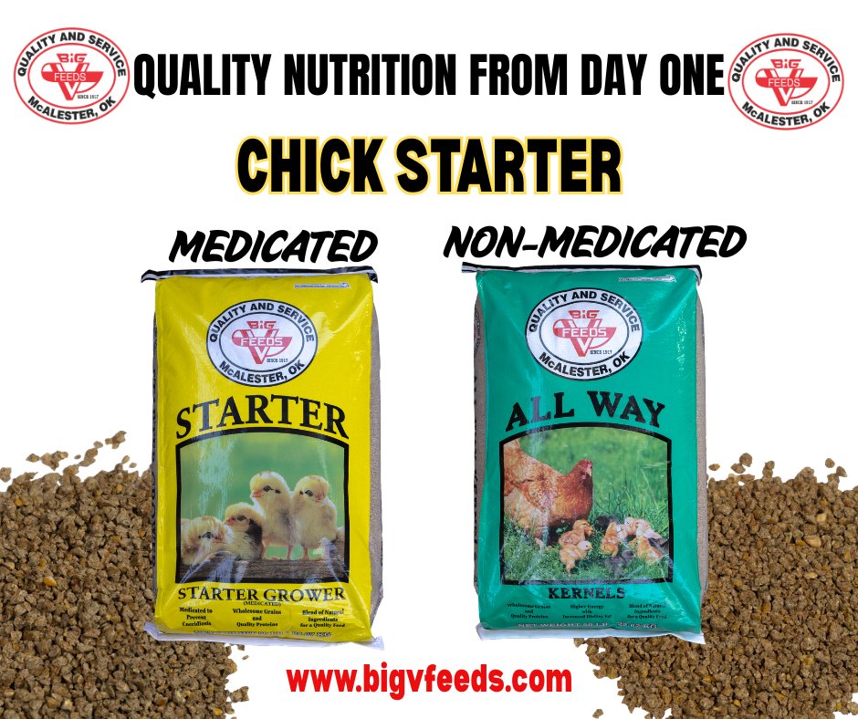 Healthy chicks start with the right... - Big V Feeds Inc. | Facebook